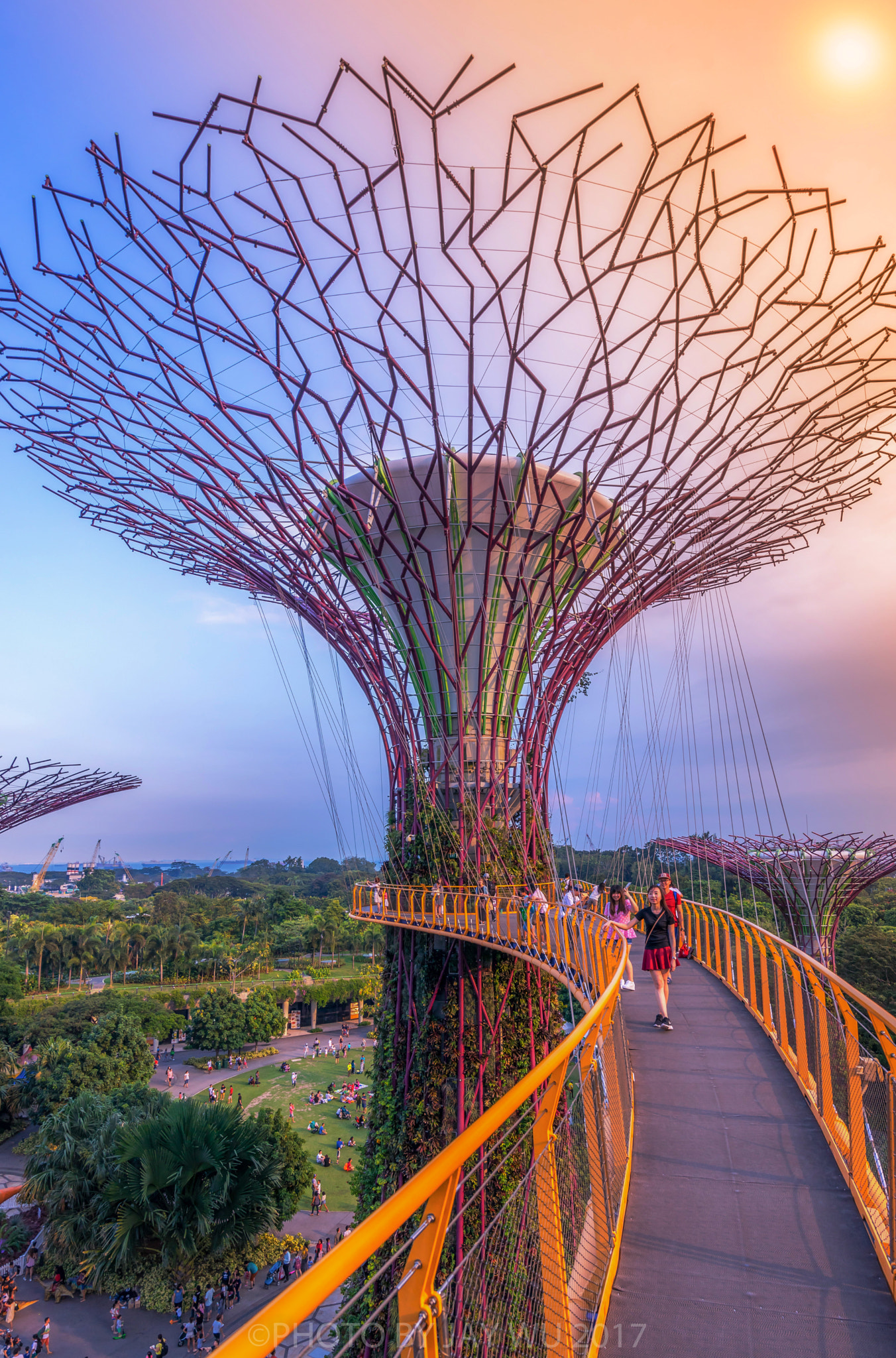 Sony a7R + Sony Vario-Tessar T* FE 16-35mm F4 ZA OSS sample photo. Bridge in the sky photography