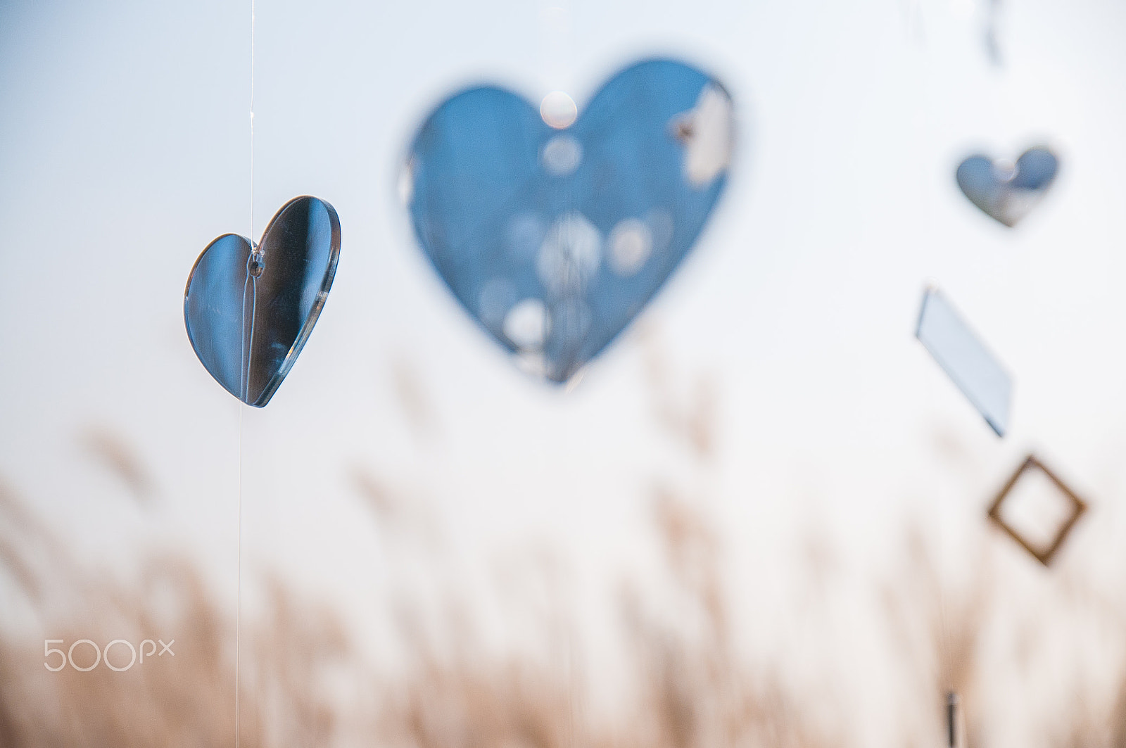 Nikon D300 sample photo. Flying heart photography