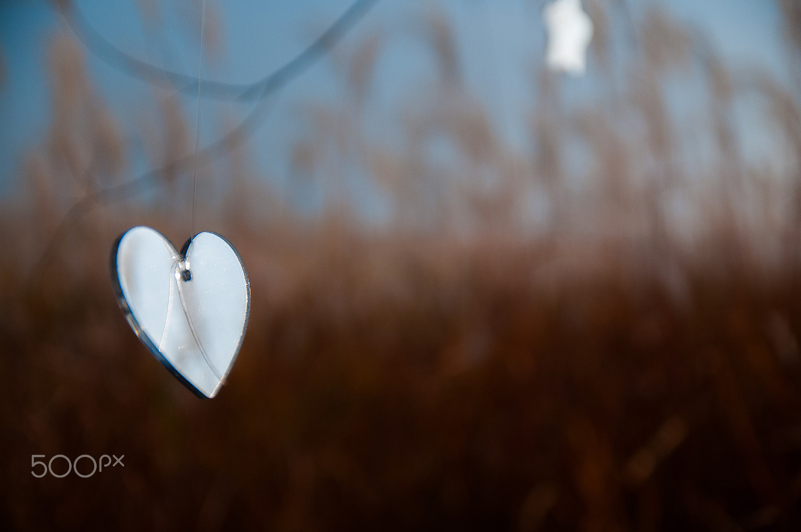 Nikon D300 sample photo. Heart... photography