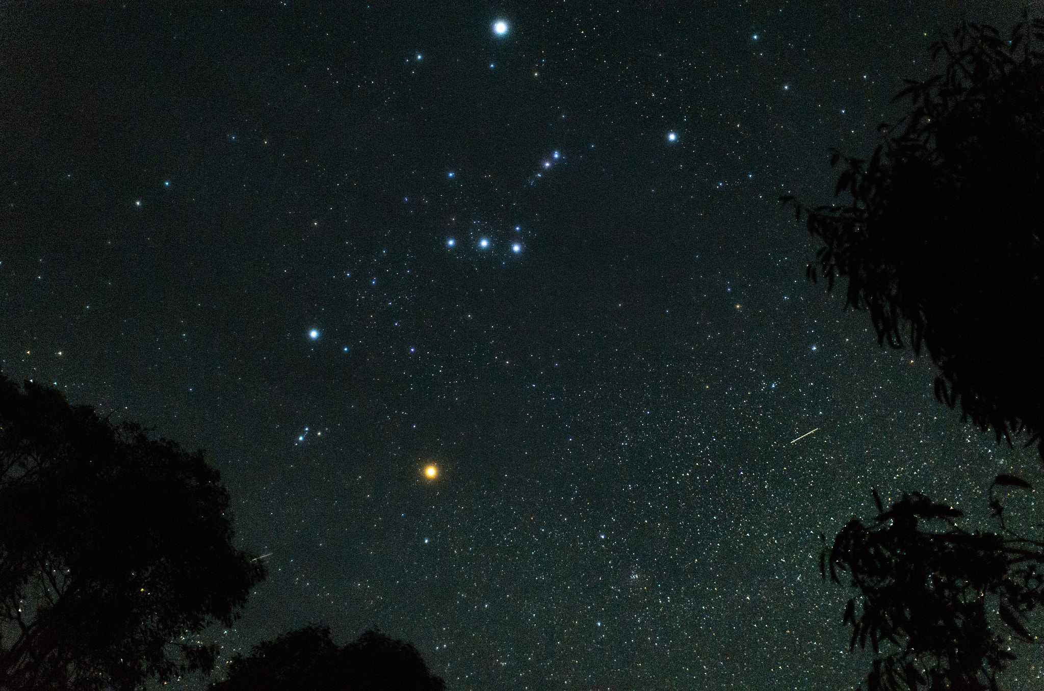 Nikon D7000 + Sigma 30mm F1.4 EX DC HSM sample photo. Betelgeuse photography