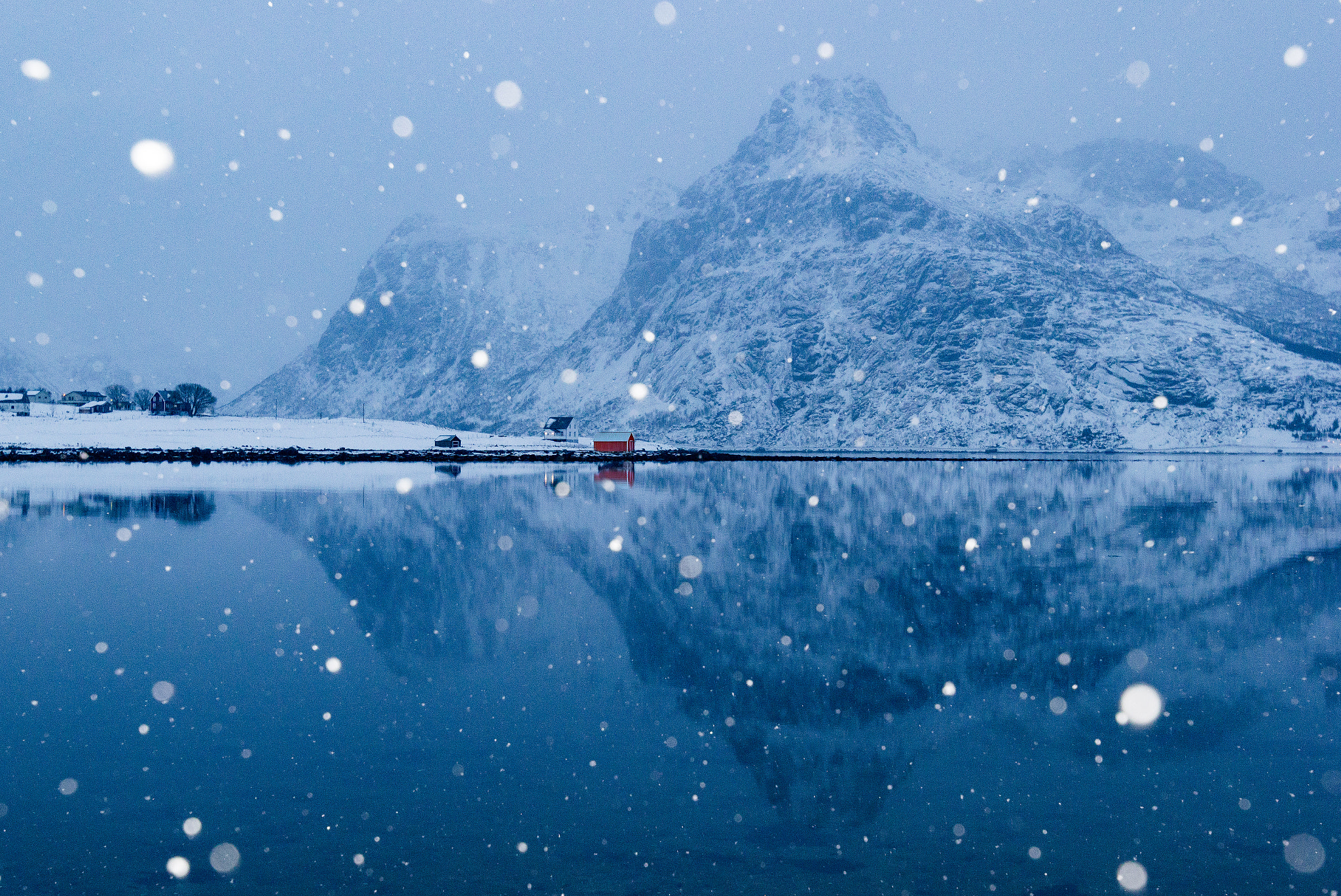 Canon EF 300mm f/2.8L sample photo. Snowball photography