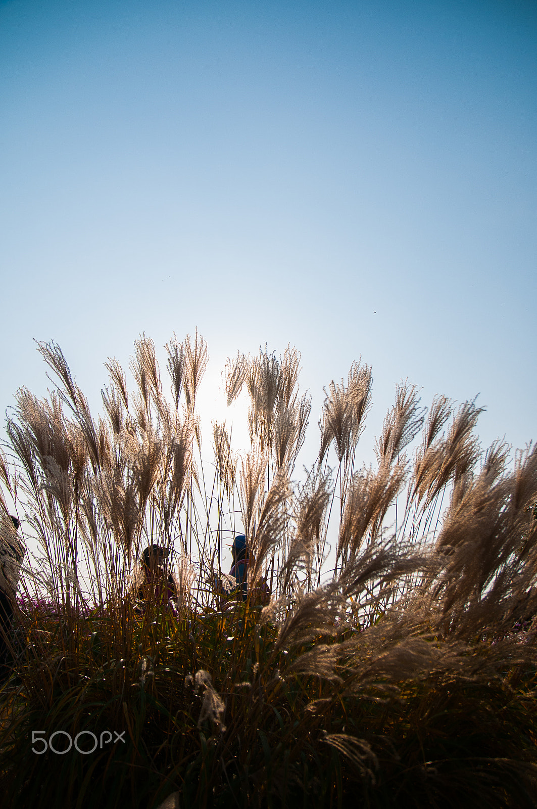 Nikon D300 sample photo. Notitled photography