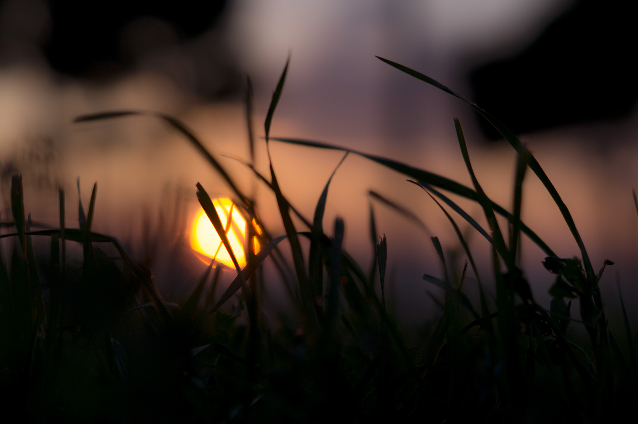 Sony SLT-A58 + Sony DT 50mm F1.8 SAM sample photo. A sunset to remember photography