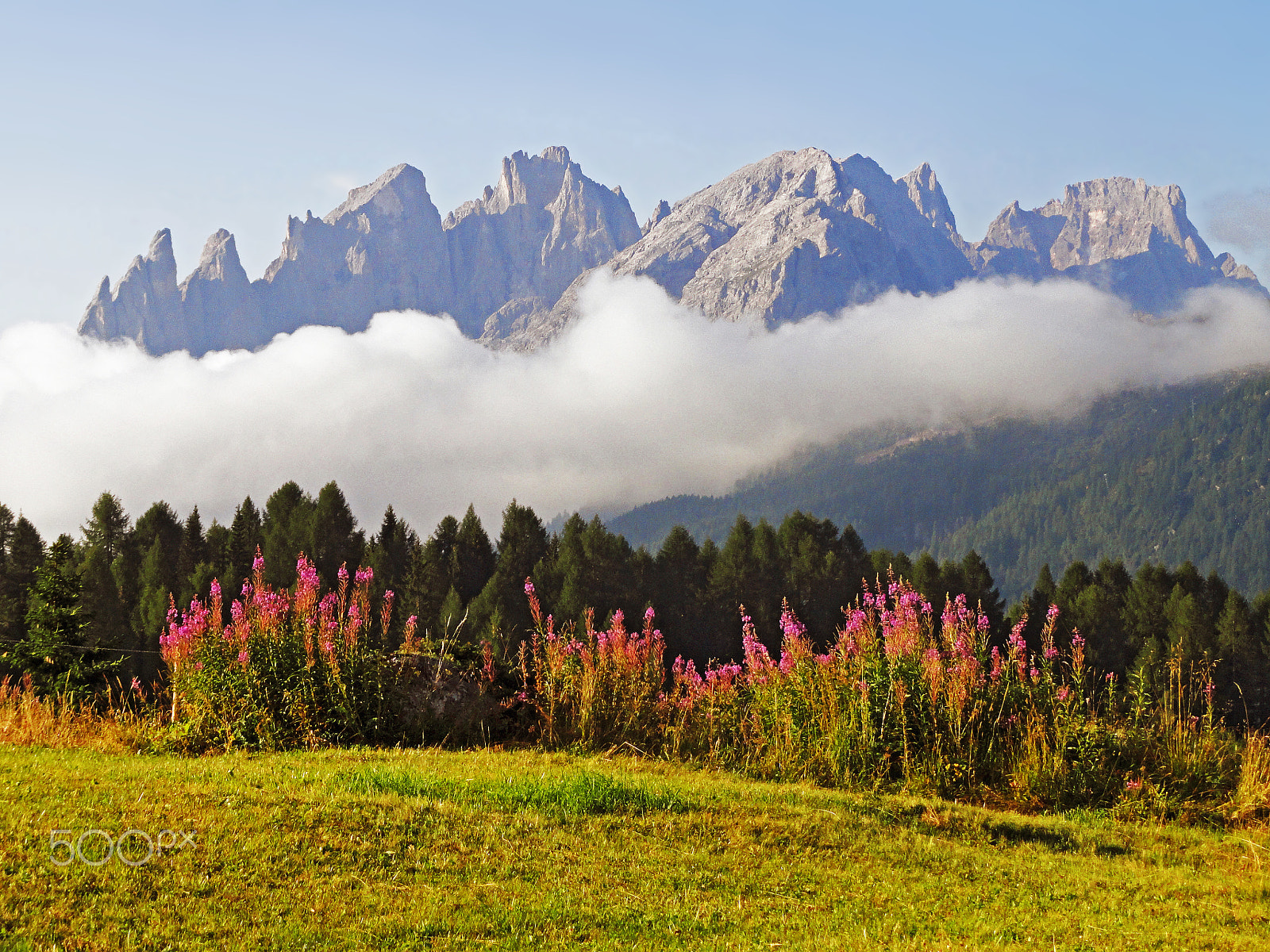 Sony Cyber-shot DSC-H55 sample photo. Pale di san martino from fochiade meadow photography