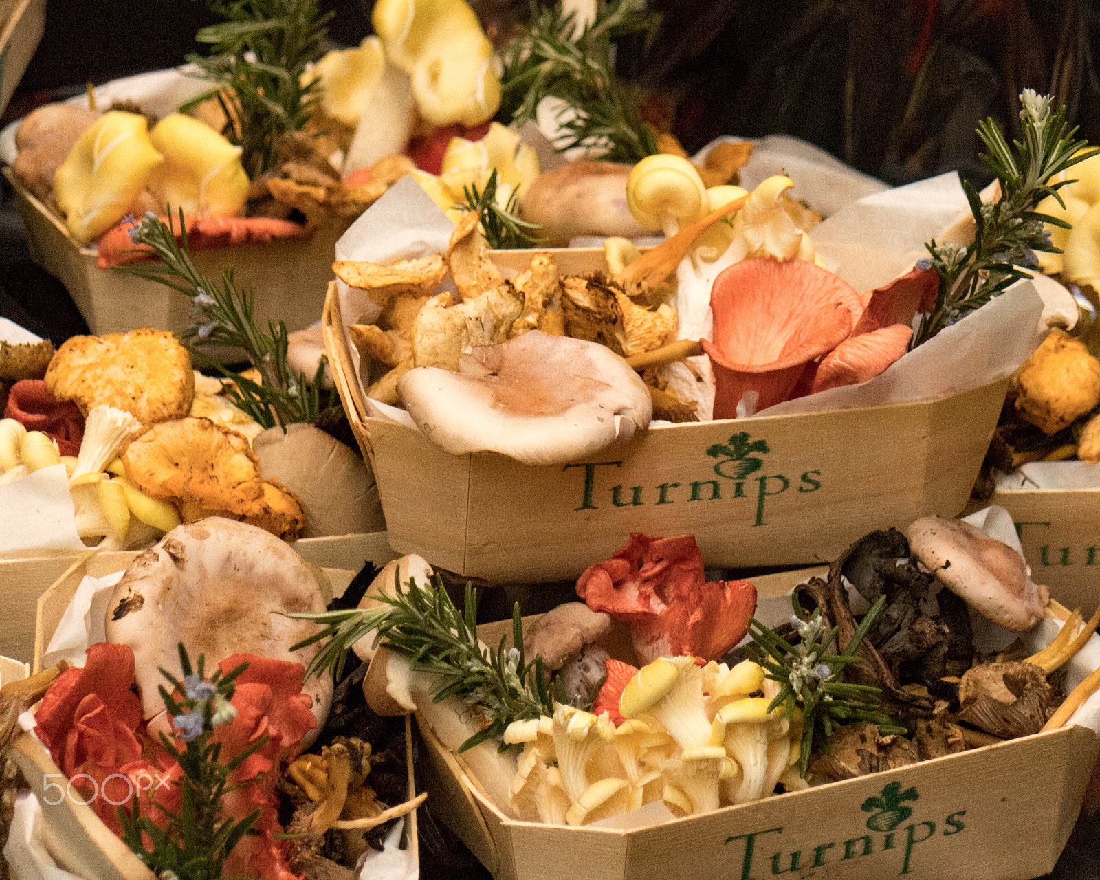 Canon EOS M5 sample photo. Mushrooms at market photography