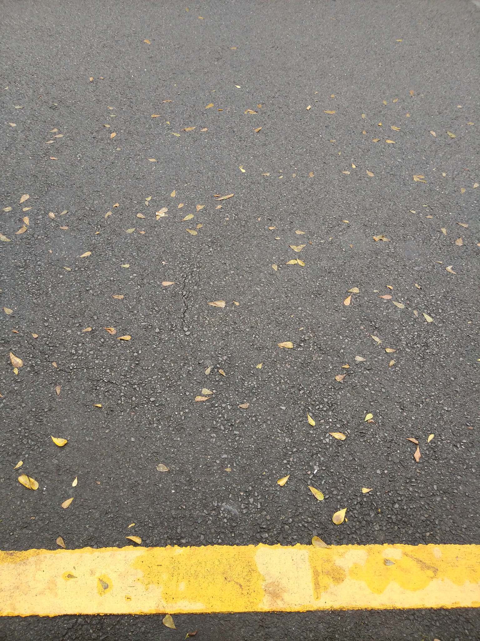 Xiaomi Mi Note2 sample photo