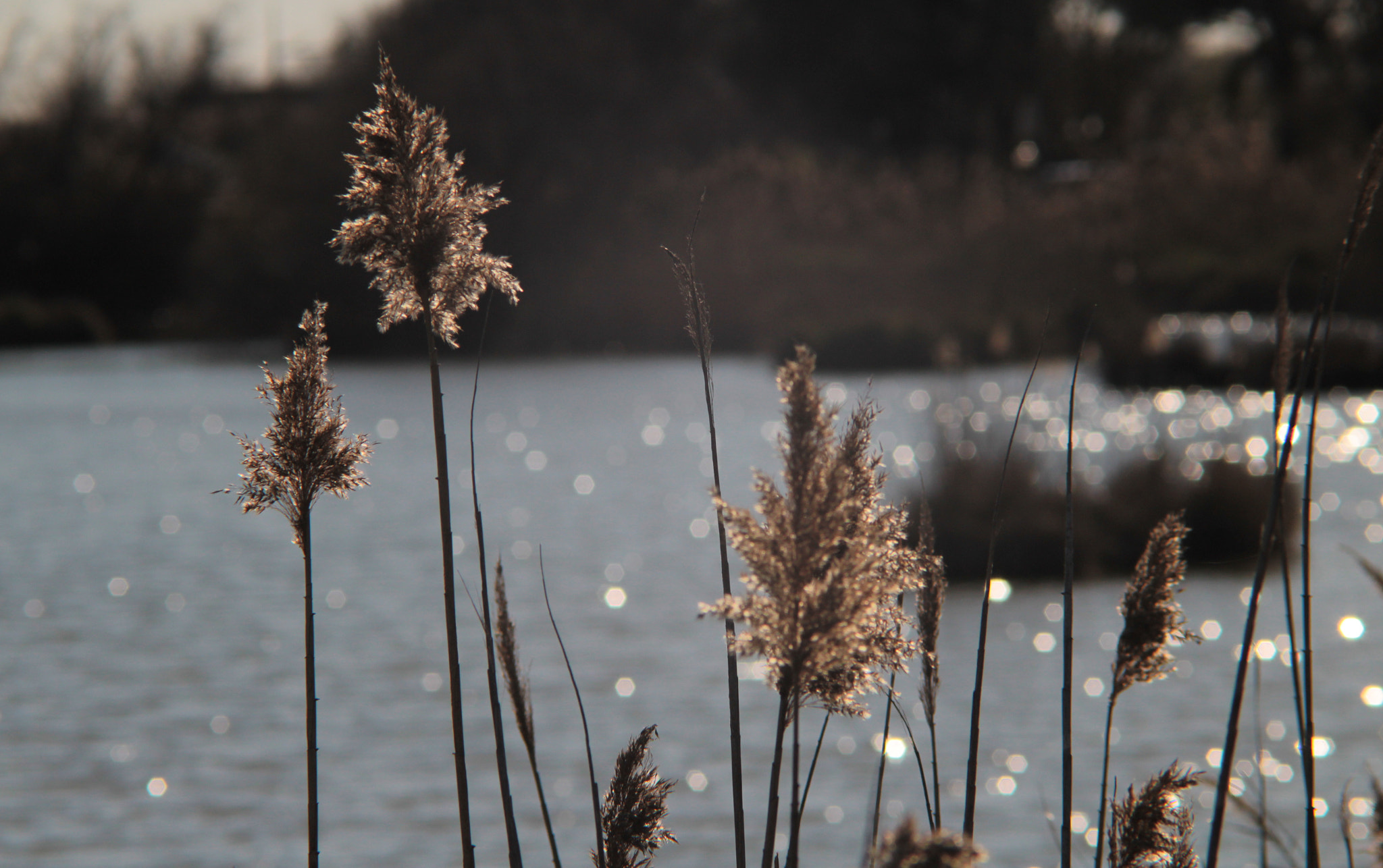 Canon EF 35-80mm f/4-5.6 sample photo. Waterproof photography