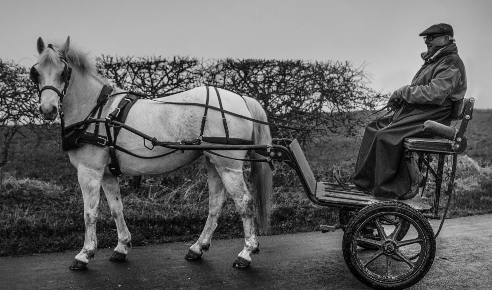 Canon EOS 70D + Sigma 24-70mm F2.8 EX DG Macro sample photo. Pony and trap photography