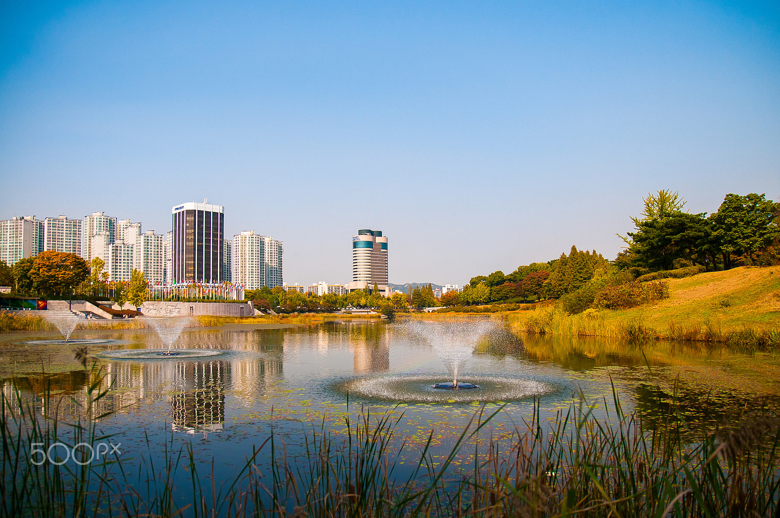 Nikon D300 sample photo. Buildings in water photography