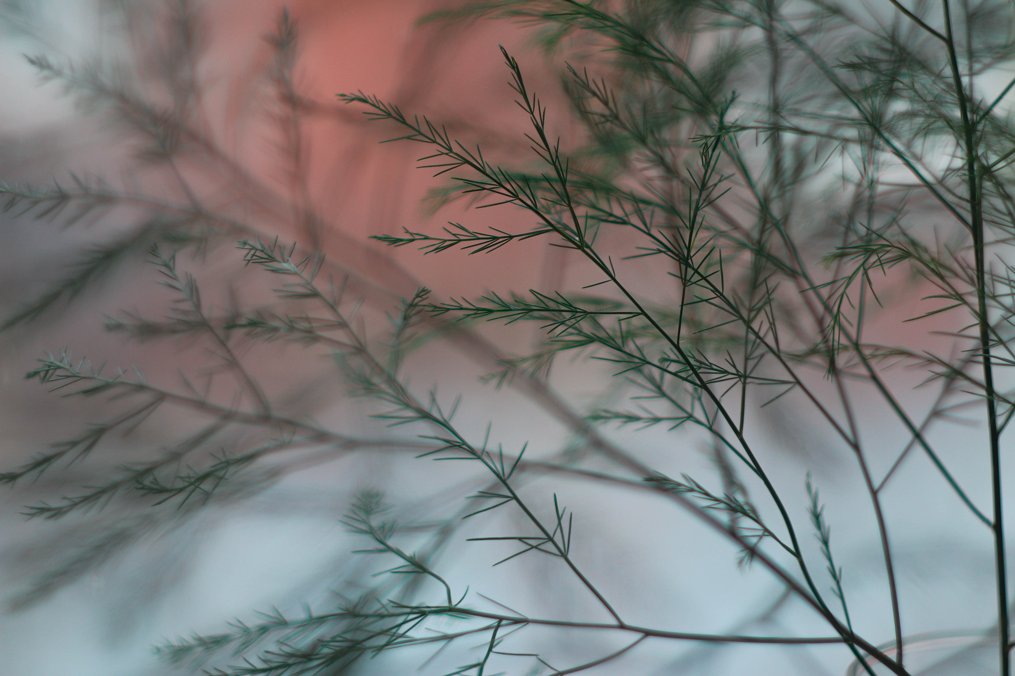 Canon EF 35-80mm f/4-5.6 sample photo. 506 photography