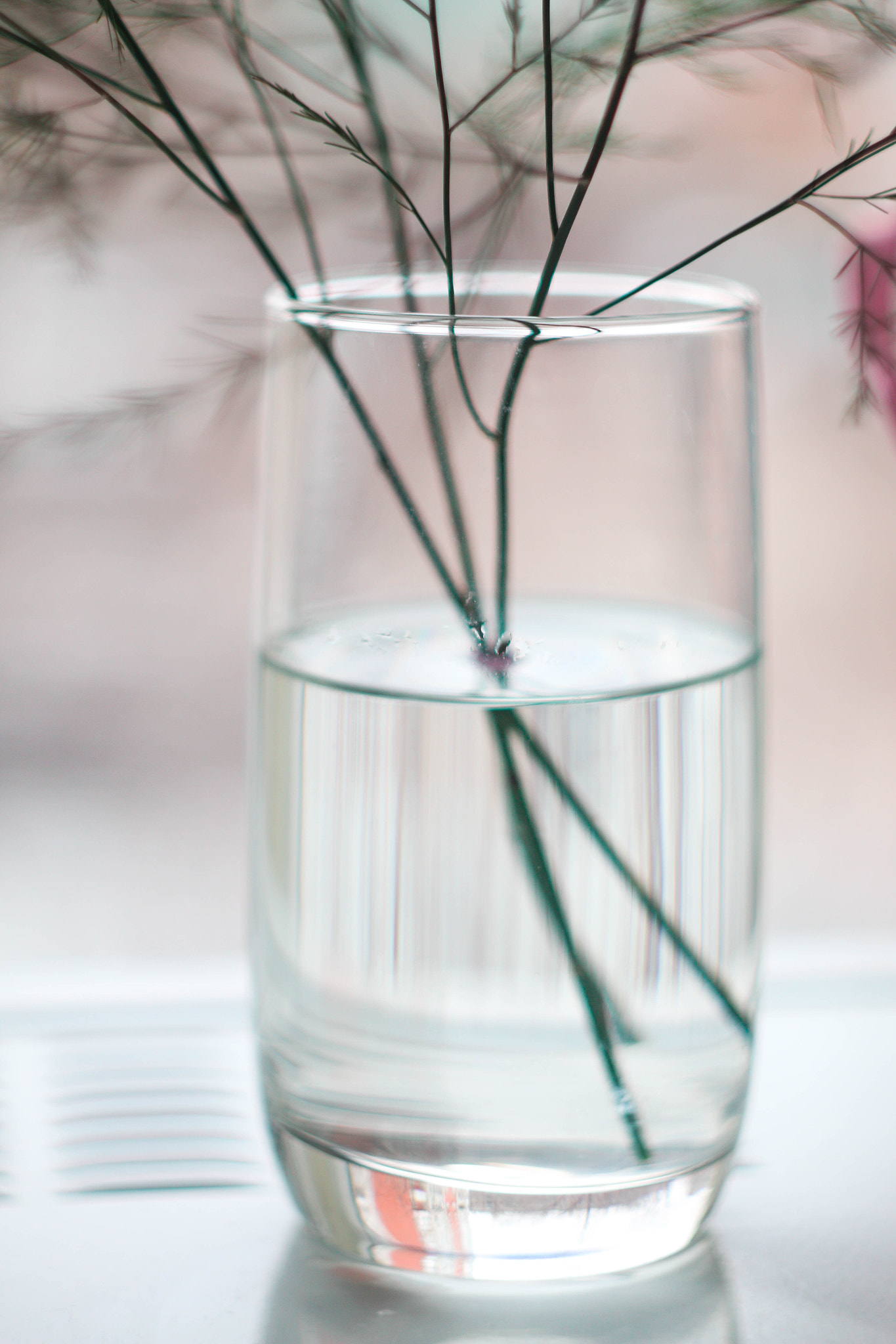 Canon EF 35-80mm f/4-5.6 sample photo. 516 photography