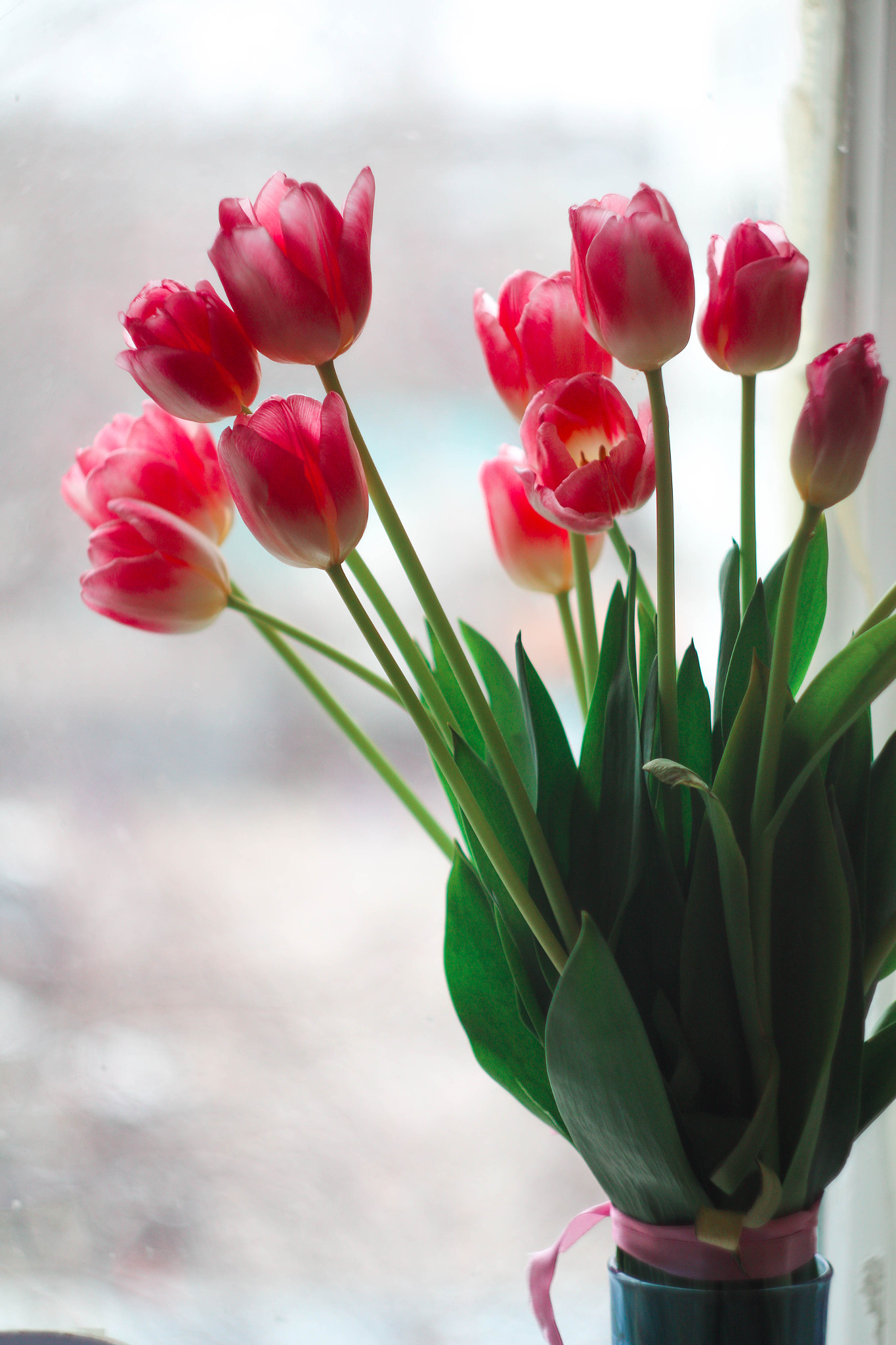 Canon EF 35-80mm f/4-5.6 sample photo. 515 photography