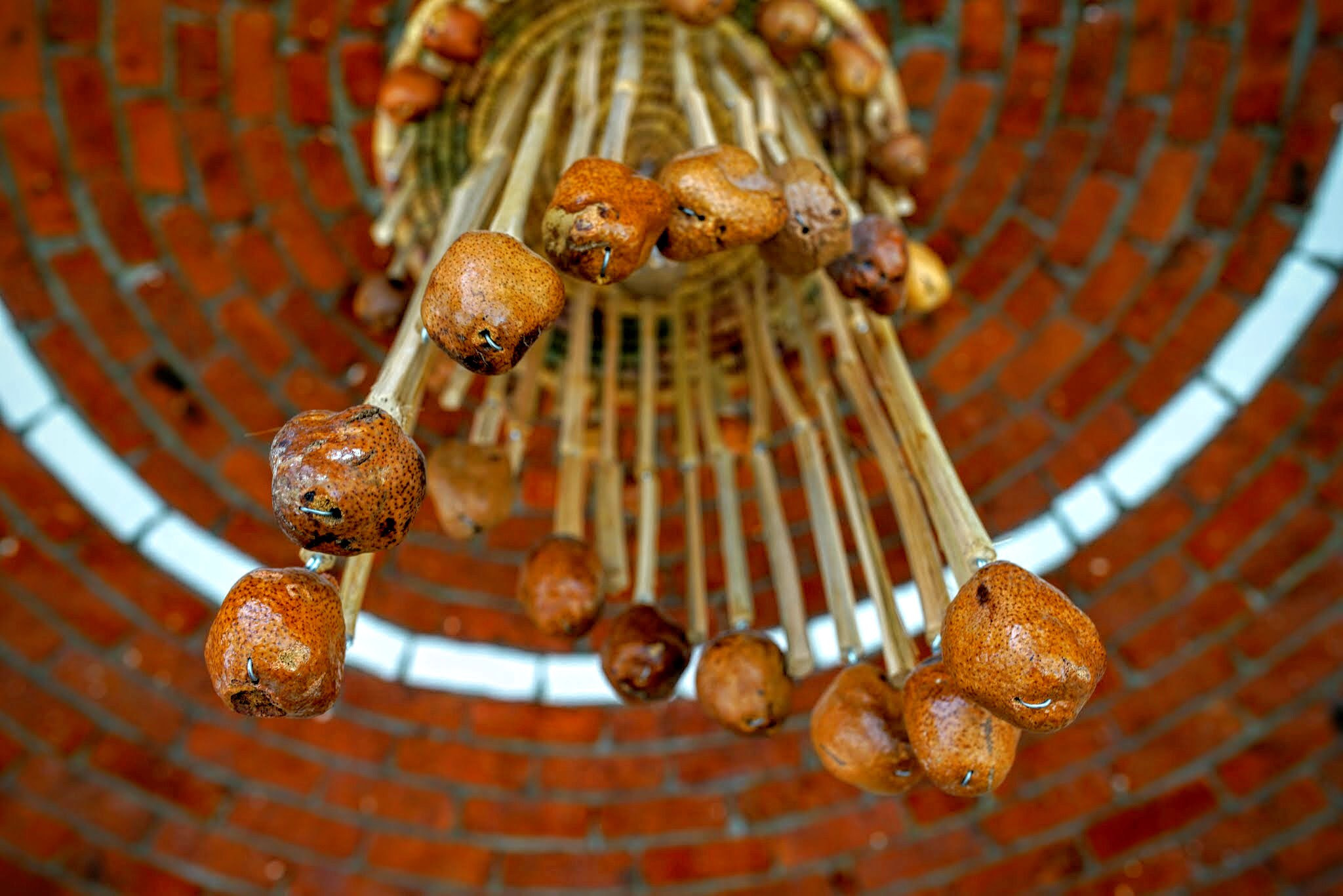 Sony a7R II sample photo. Decoration chandelier made of plant photography