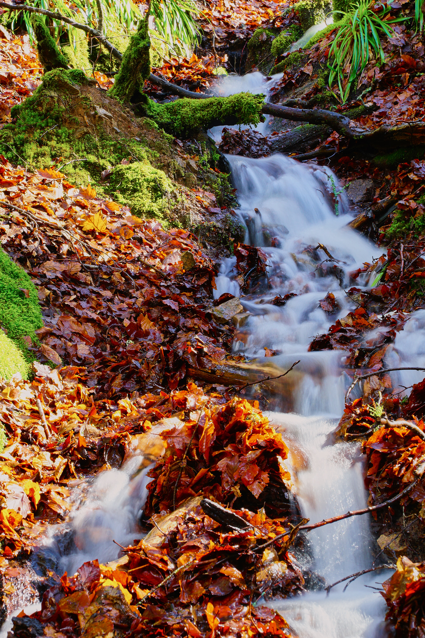 Sony DT 16-105mm F3.5-5.6 sample photo. Little waterfall photography
