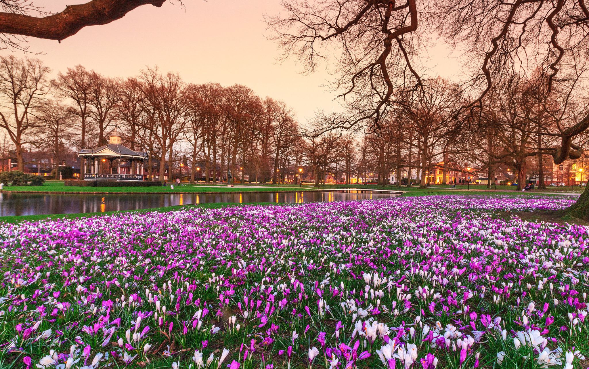 Canon EOS 1200D (EOS Rebel T5 / EOS Kiss X70 / EOS Hi) sample photo. Spring in holland photography