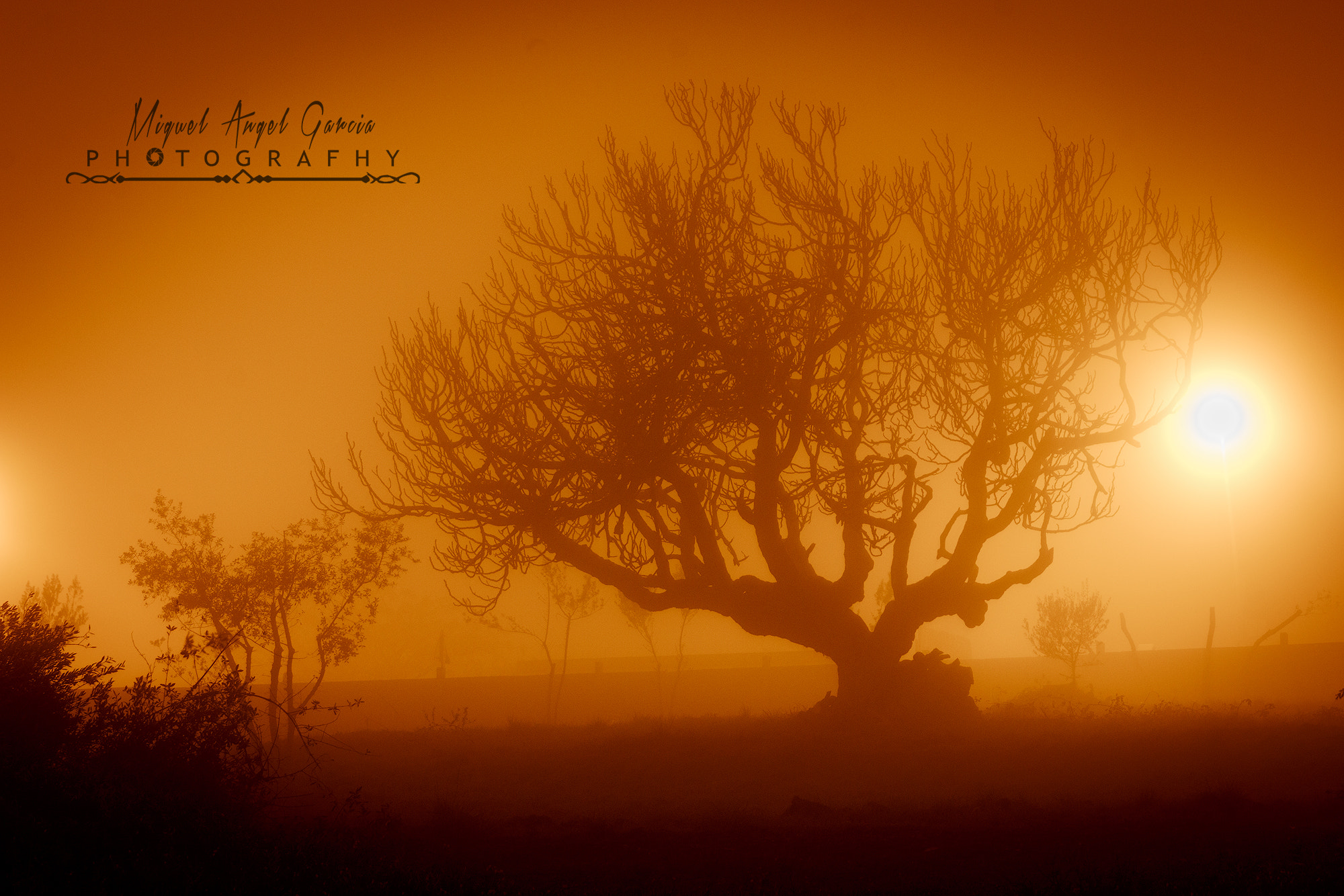Canon EF 24-70mm F4L IS USM sample photo. La niebla photography