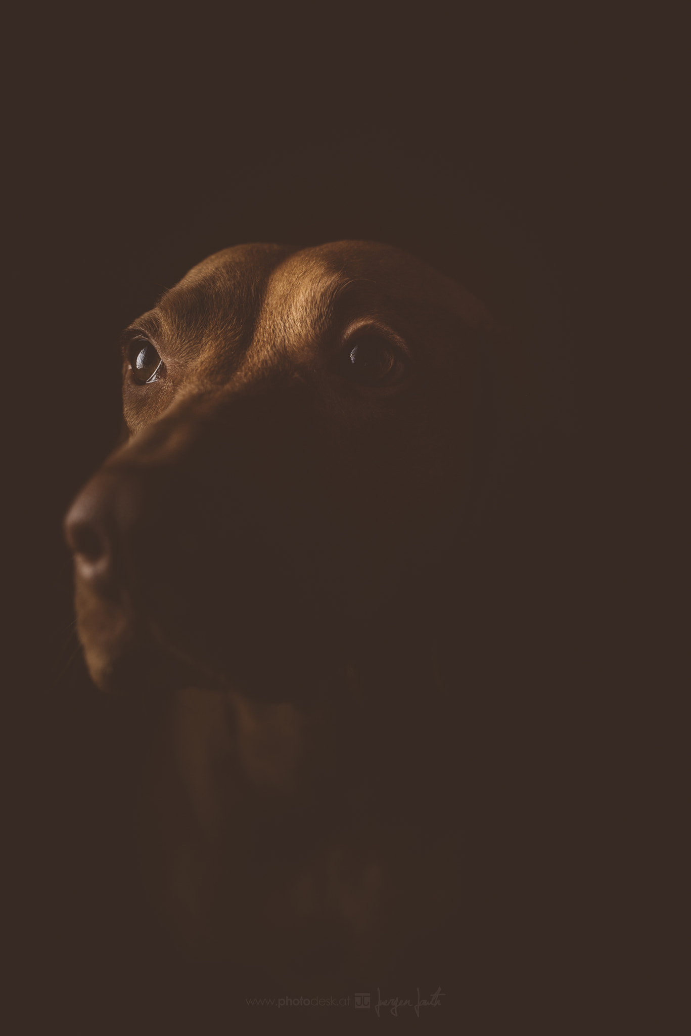 Nikon D810 + Sigma 35mm F1.4 DG HSM Art sample photo. Gloria photography