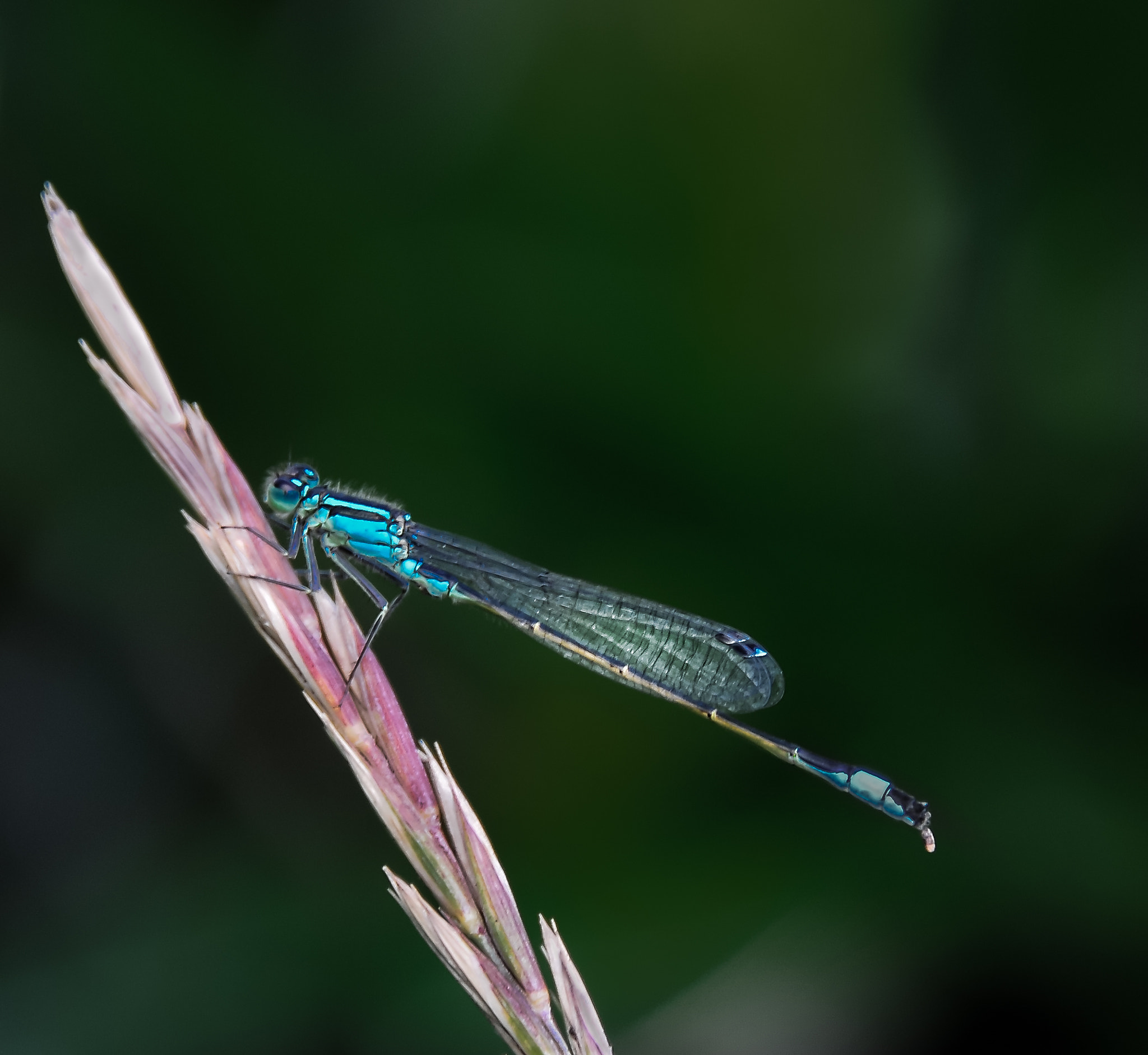 Nikon D300S sample photo. Ascent photography