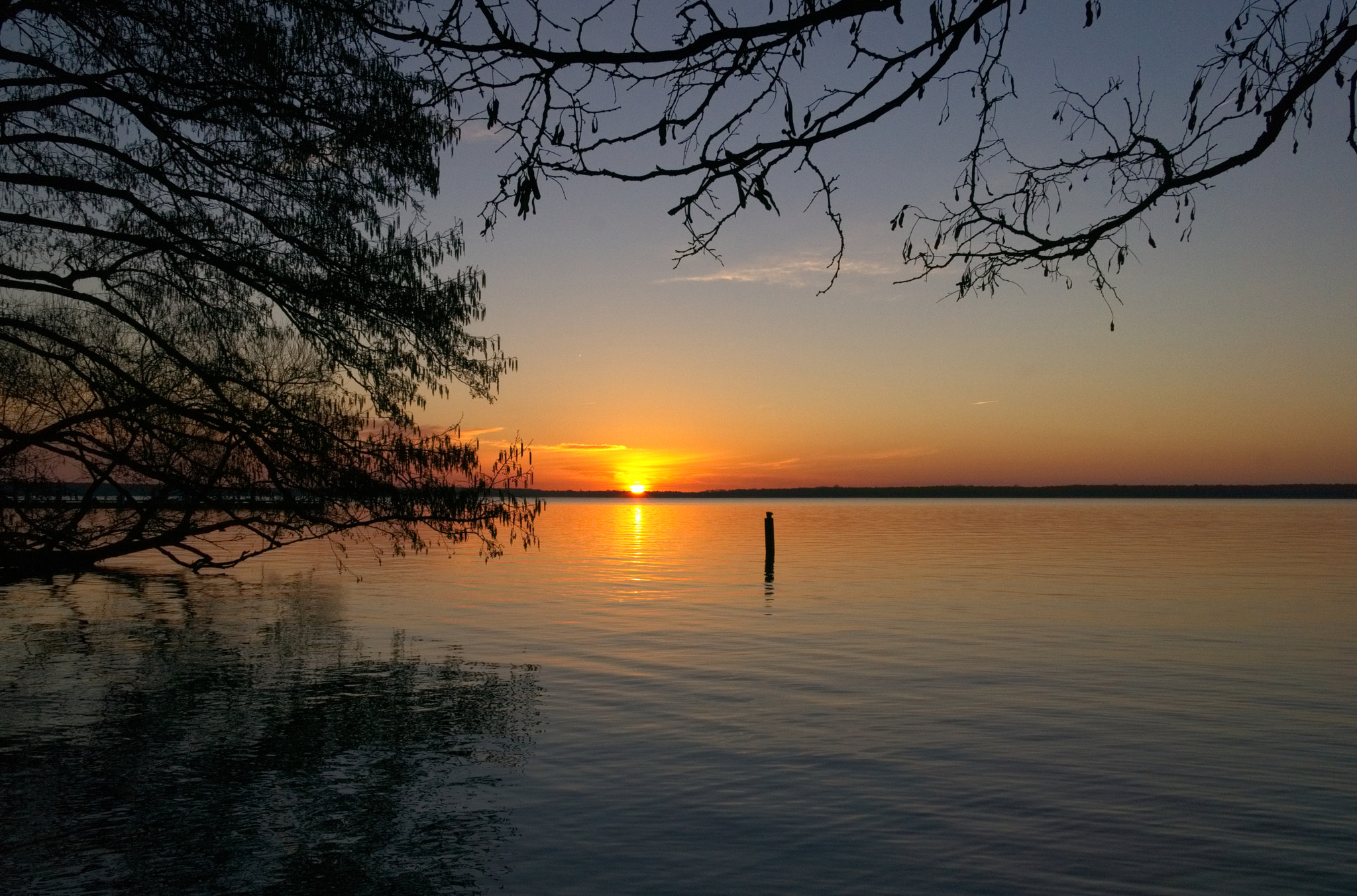 Sony a6000 + Sigma 19mm F2.8 EX DN sample photo. Dsc 3786 sonnenaufgang am müggelsee  photography