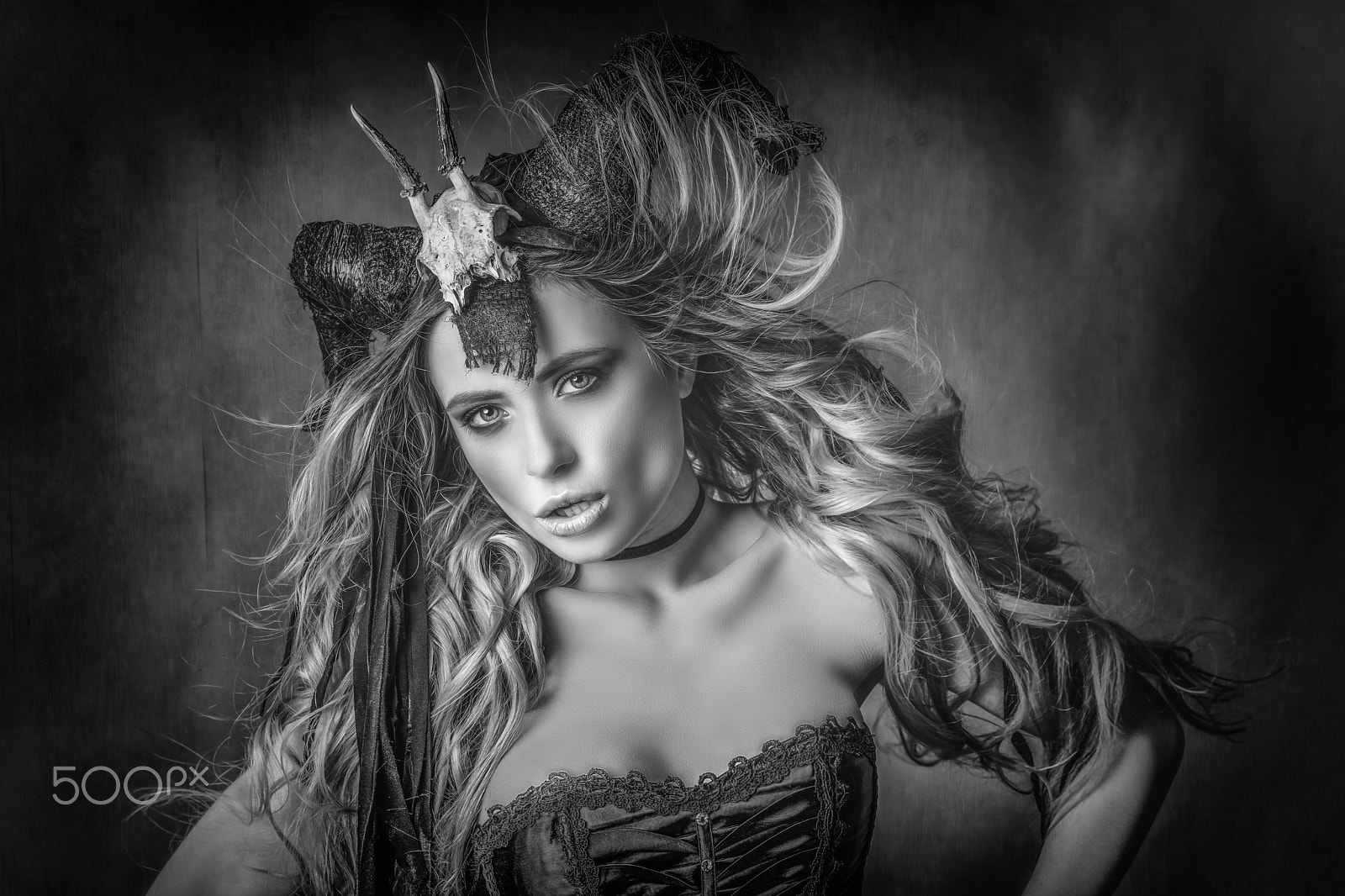 ZEISS Batis 85mm F1.8 sample photo. Aline photography