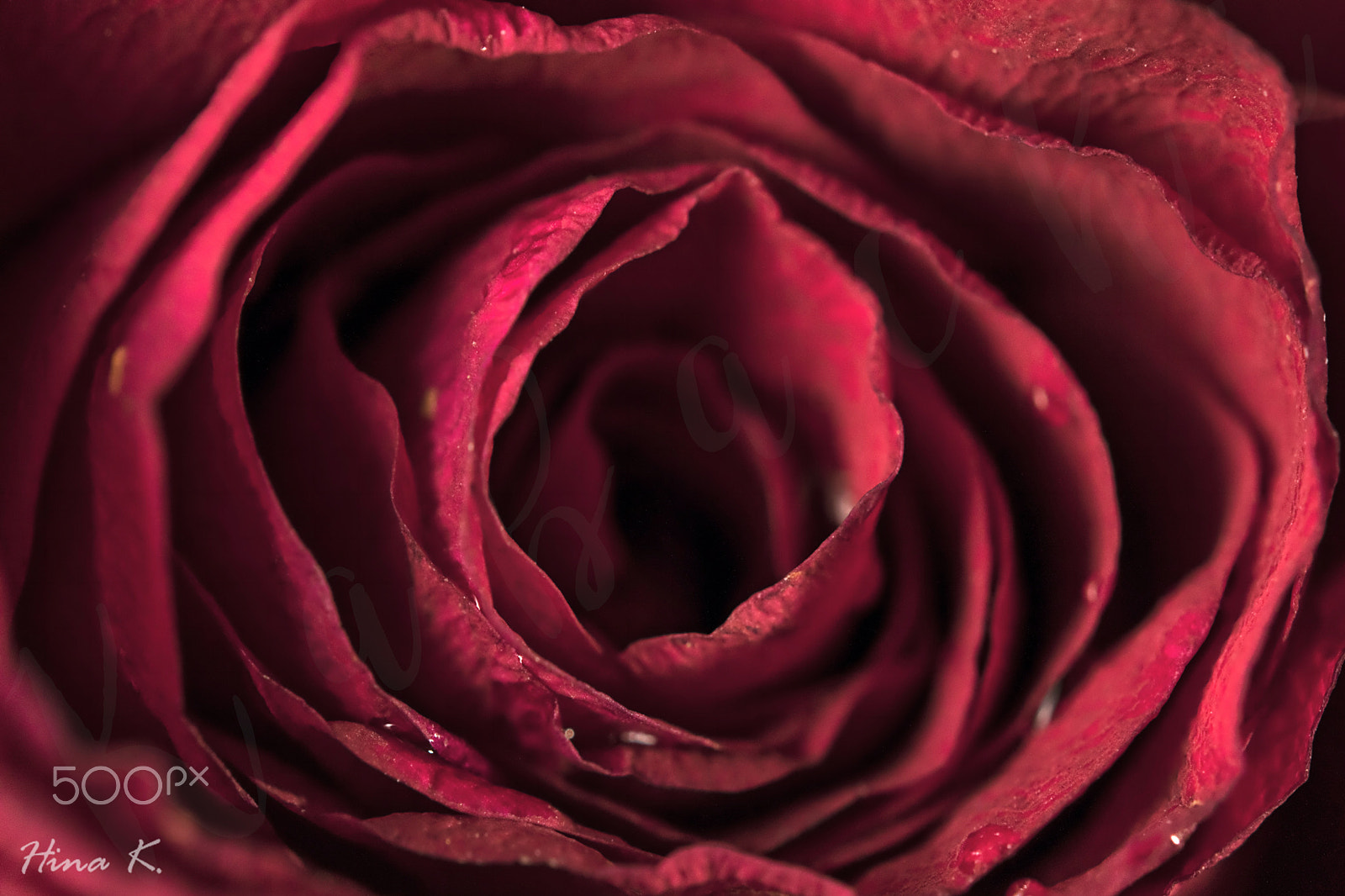 Nikon AF-S Micro-Nikkor 60mm F2.8G ED sample photo. Under the layers photography