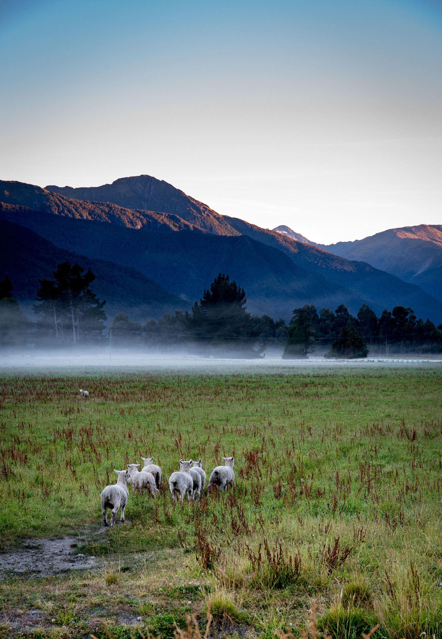 Nikon D750 + Sigma 24-105mm F4 DG OS HSM Art sample photo. Misty mak photography