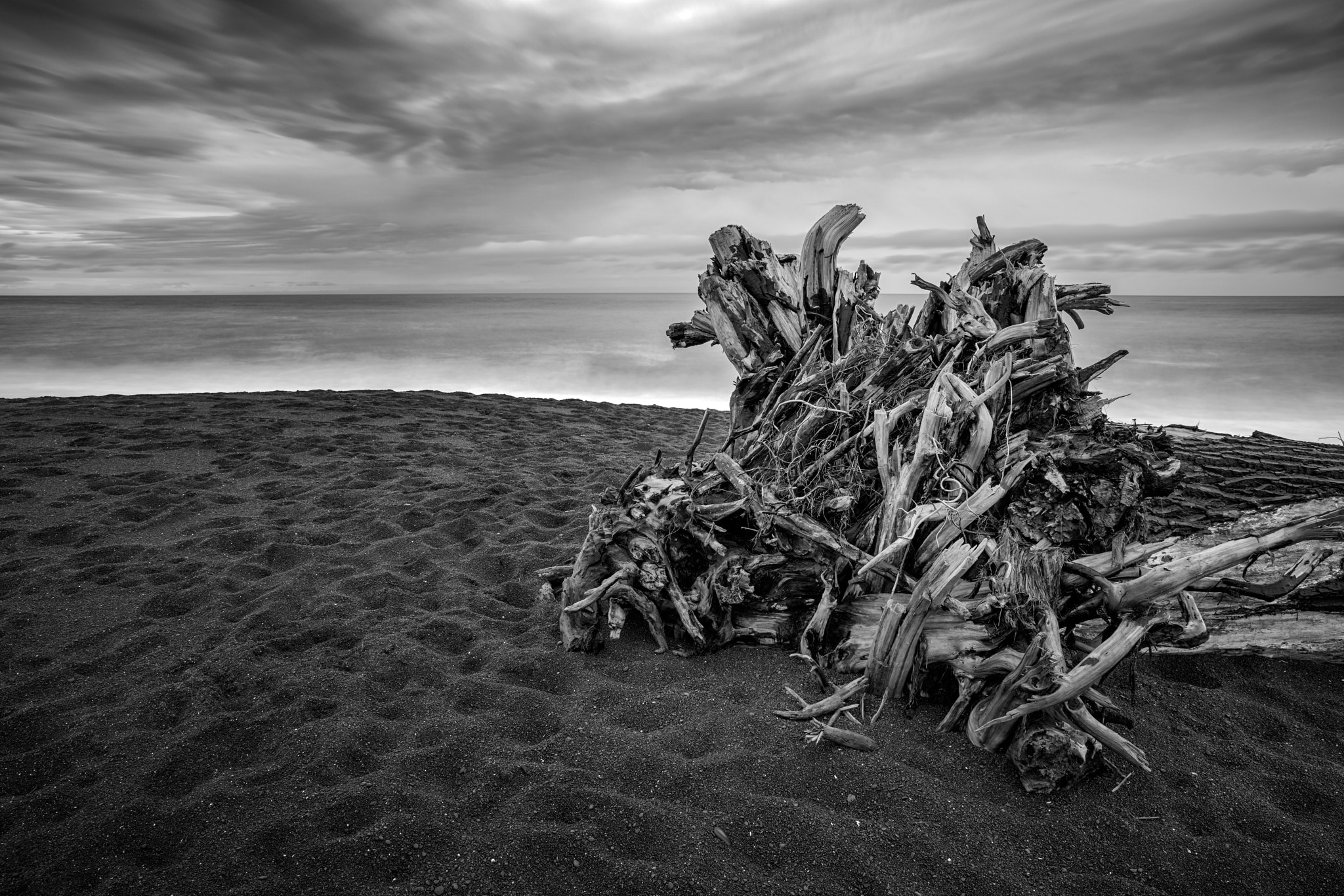 HD Pentax D FA 24-70mm F2.8 ED SDM WR sample photo. Driftwood on whirinaki beach photography