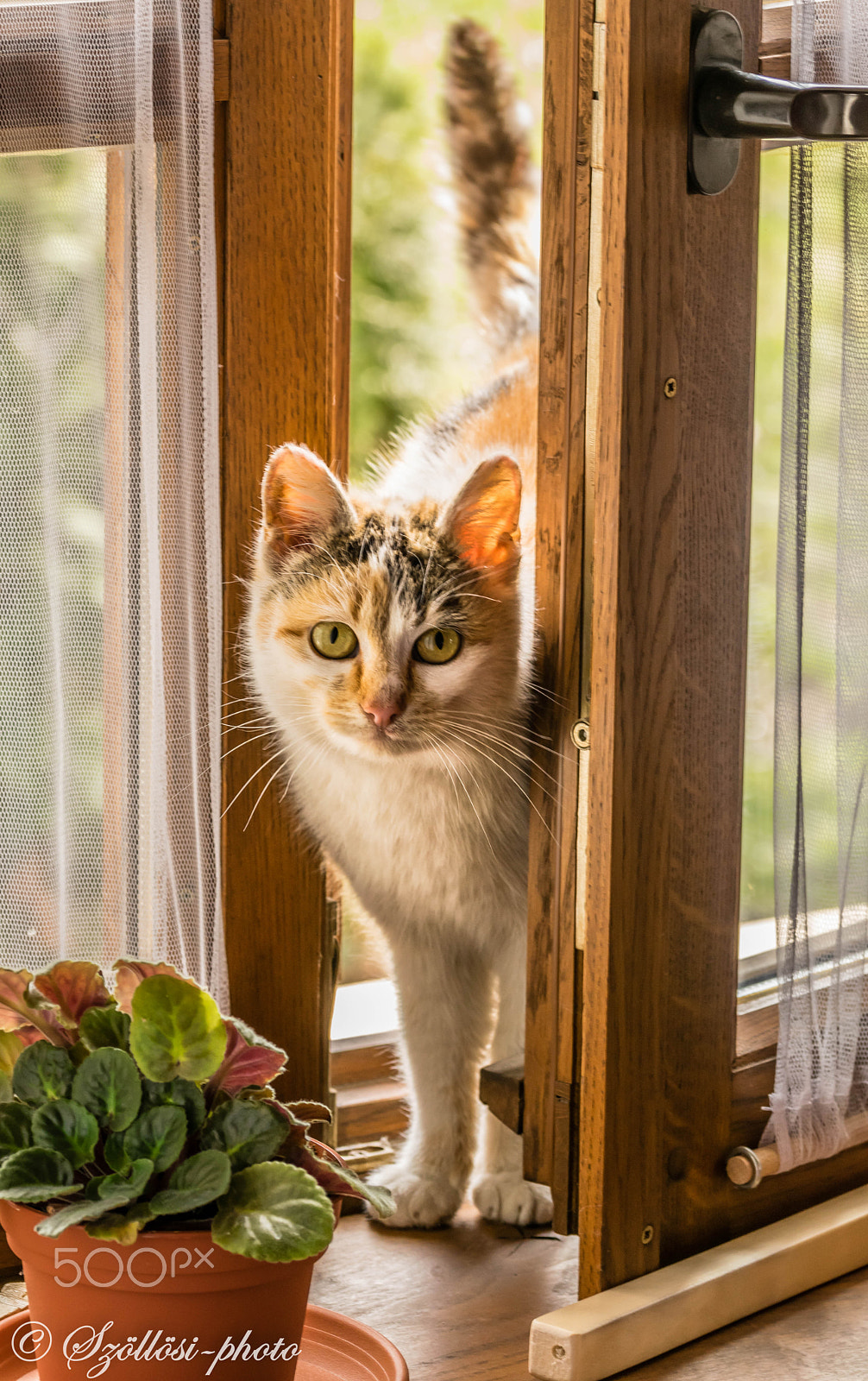 Sigma 105mm F2.8 EX DG OS HSM sample photo. Here i am photography