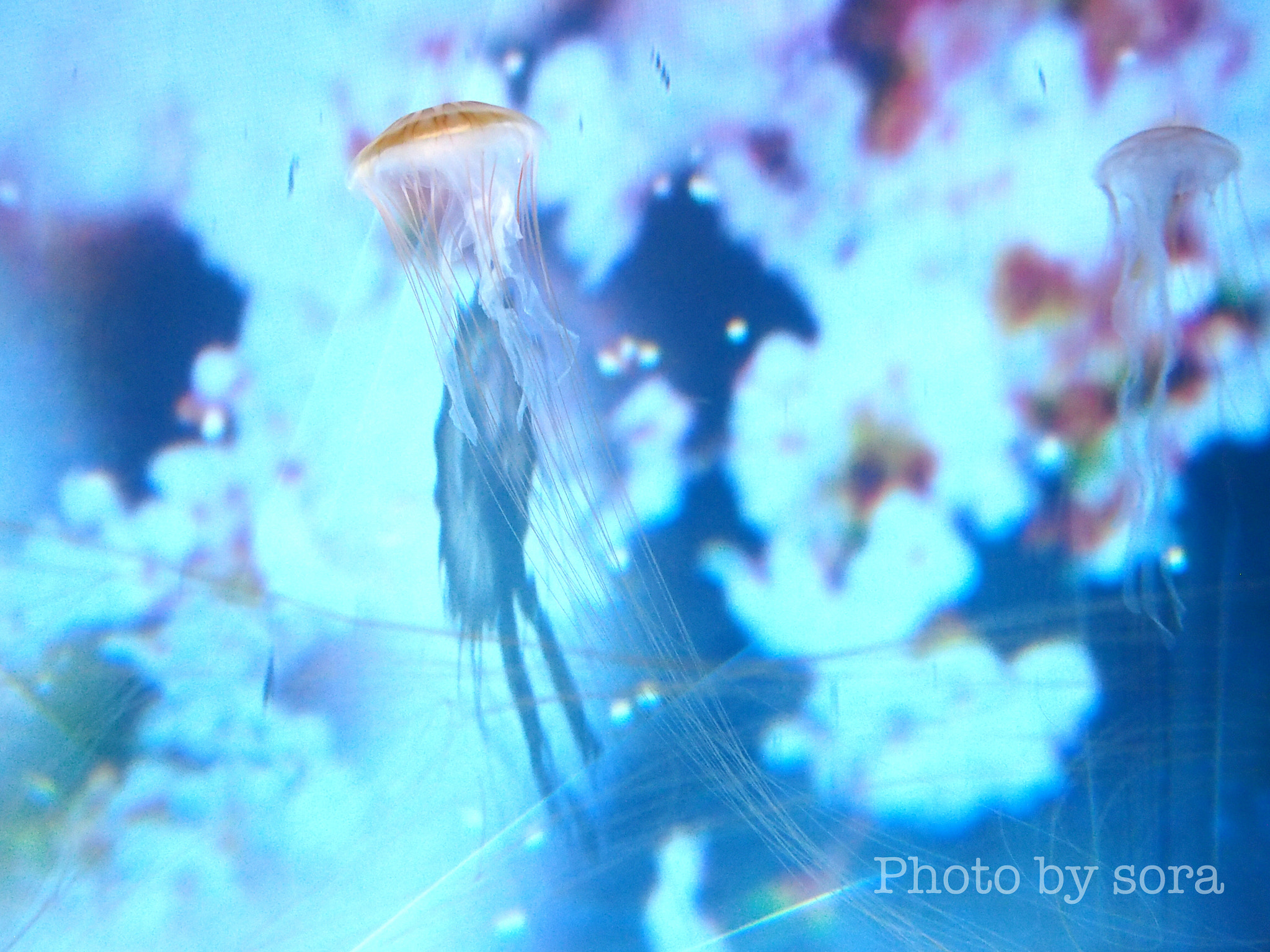 Olympus PEN E-PL5 sample photo