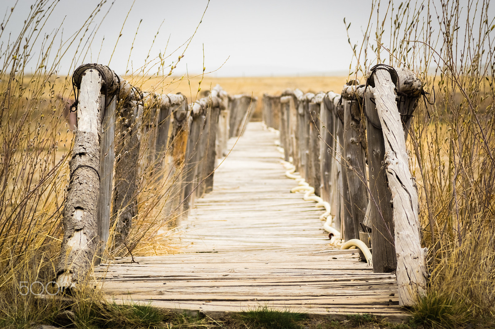 Tamron AF 70-300mm F4-5.6 LD Macro 1:2 sample photo. Wooden pier photography