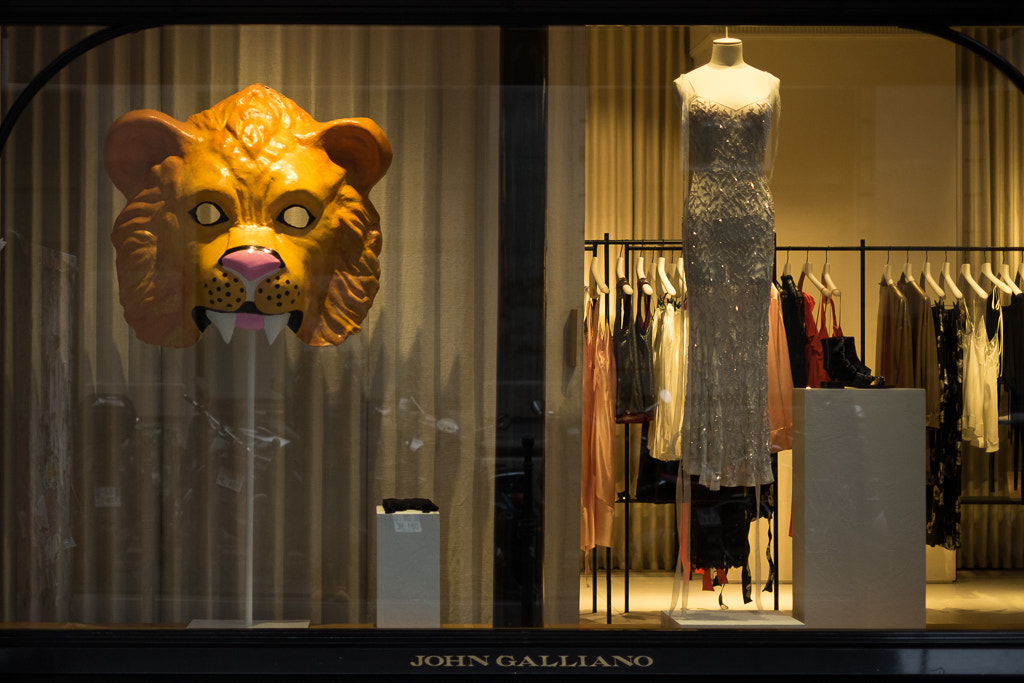 Fujifilm X-T1 + Fujifilm XF 35mm F1.4 R sample photo. Dress like a lion photography