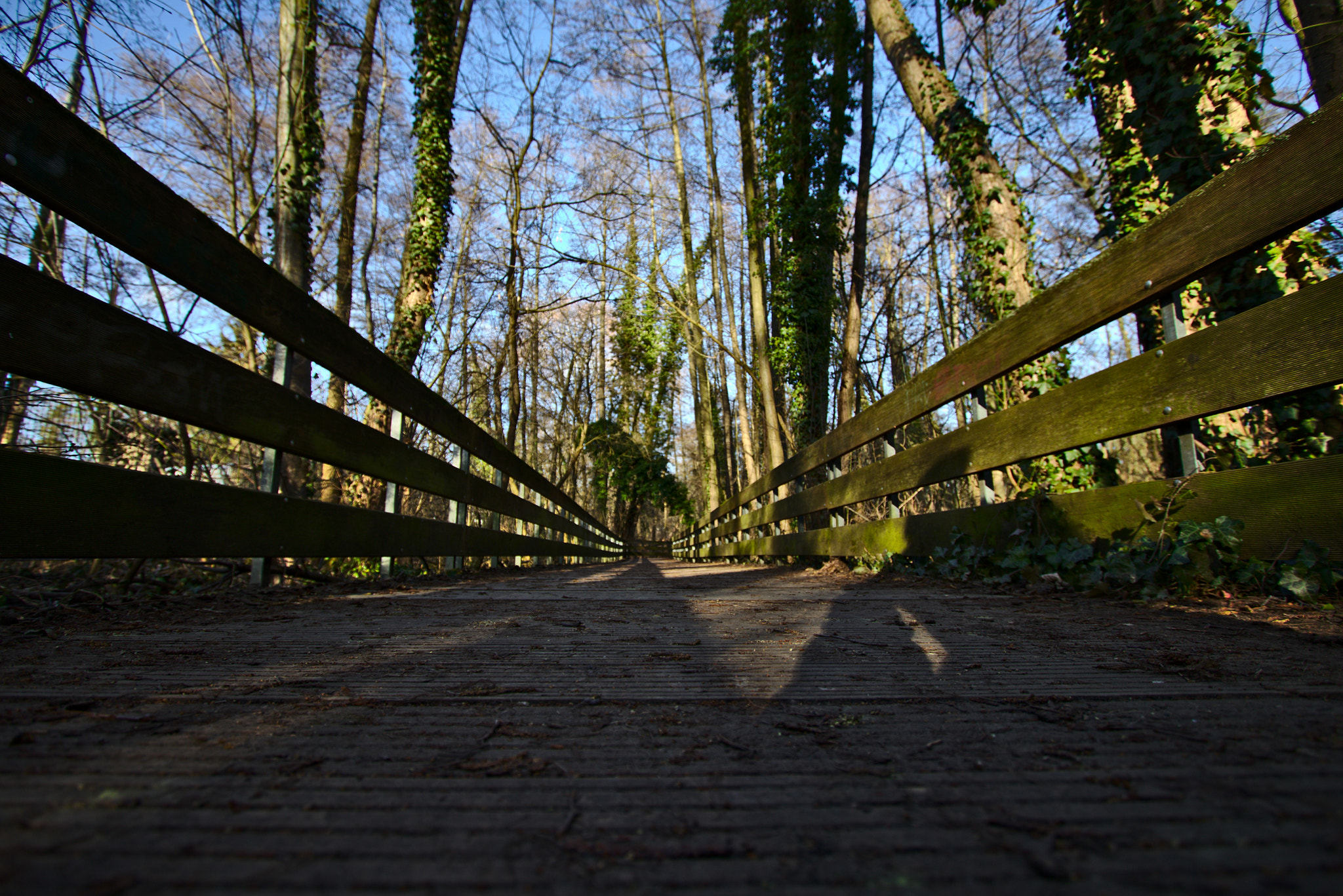 Canon EF-S 10-22mm F3.5-4.5 USM sample photo. Bridge in the woods photography