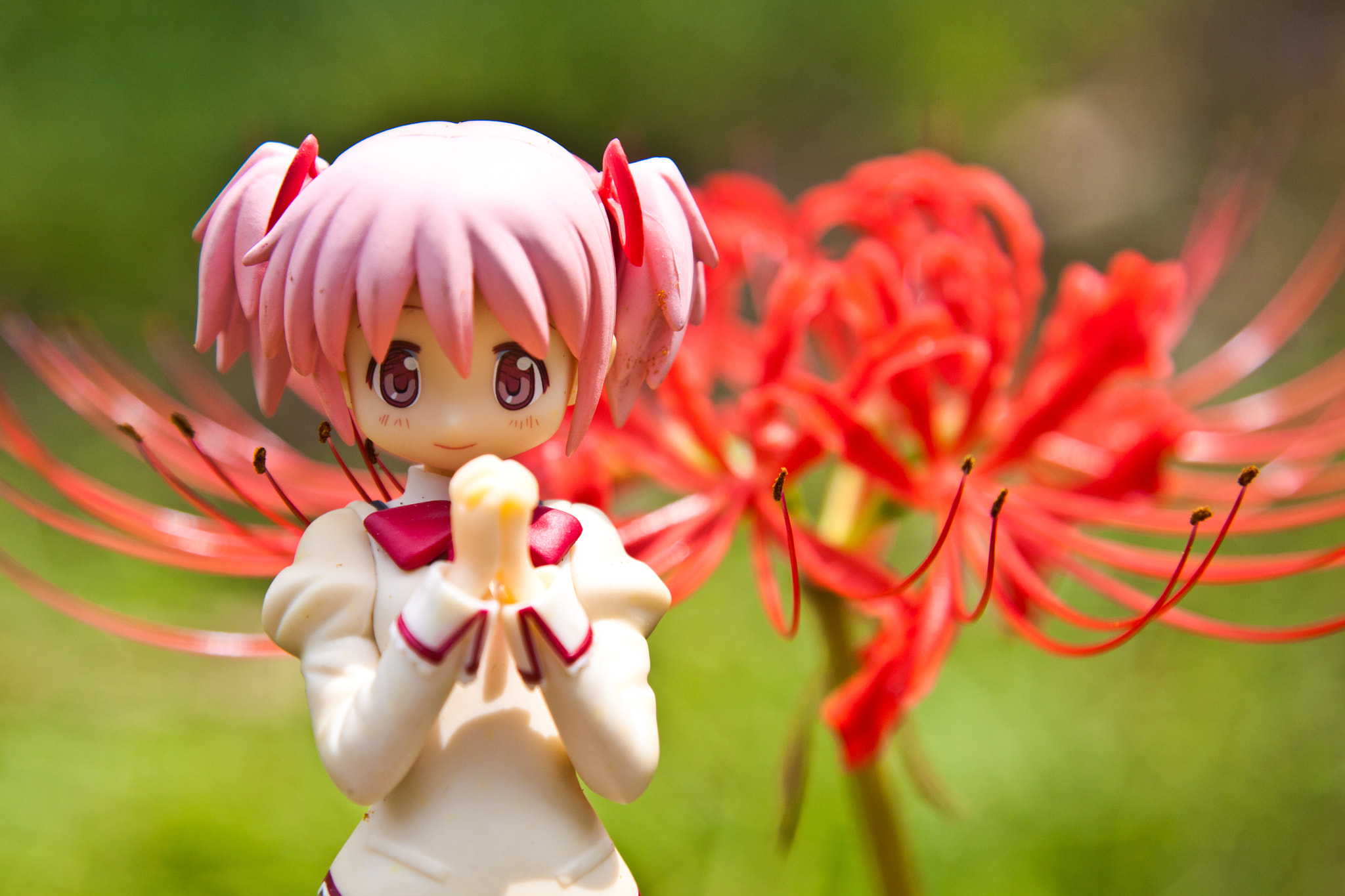 Canon EOS 50D + Canon EF 24-105mm F4L IS USM sample photo. Girl&flower photography