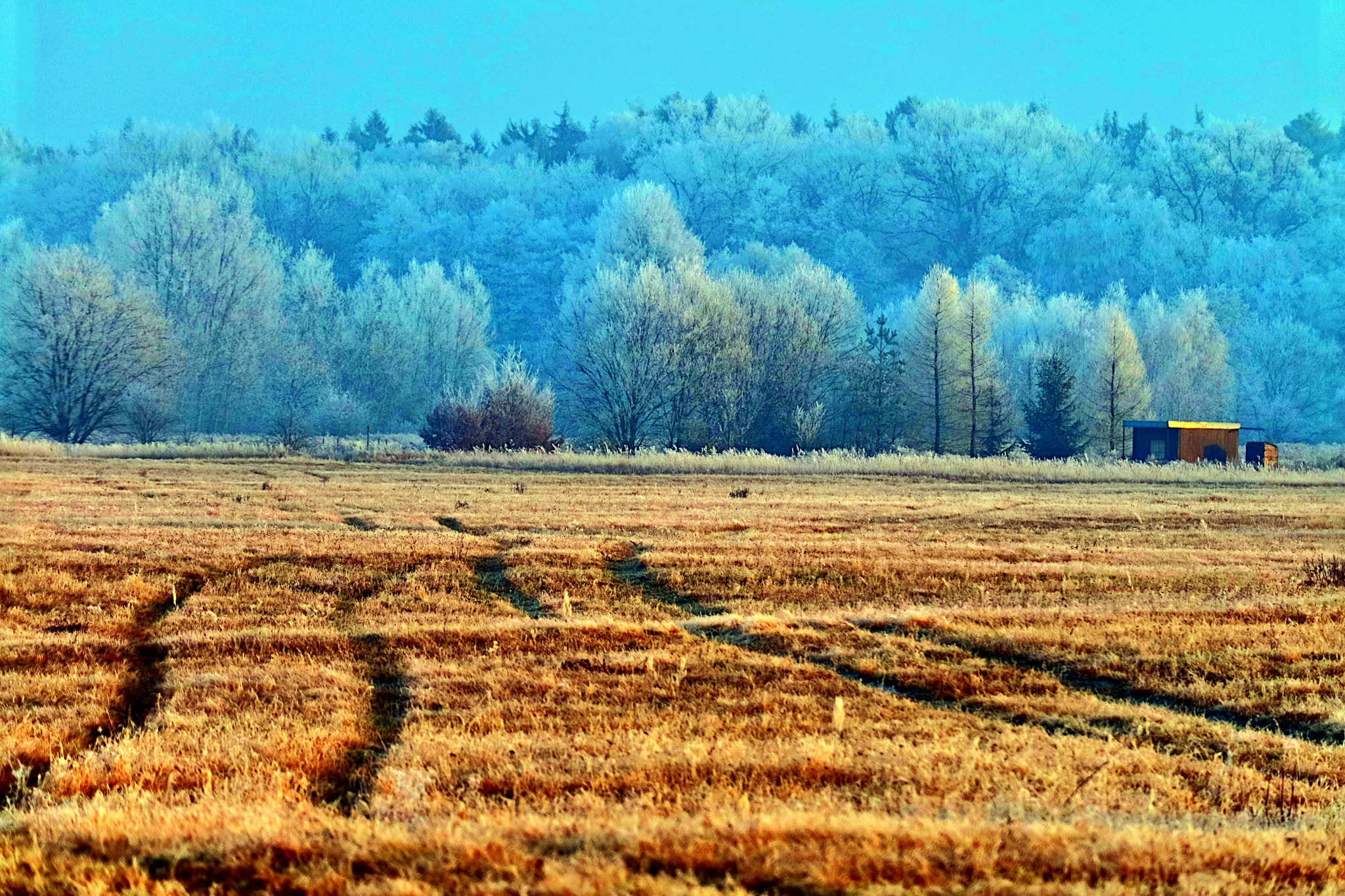 Canon EOS M3 sample photo. Frozen land photography