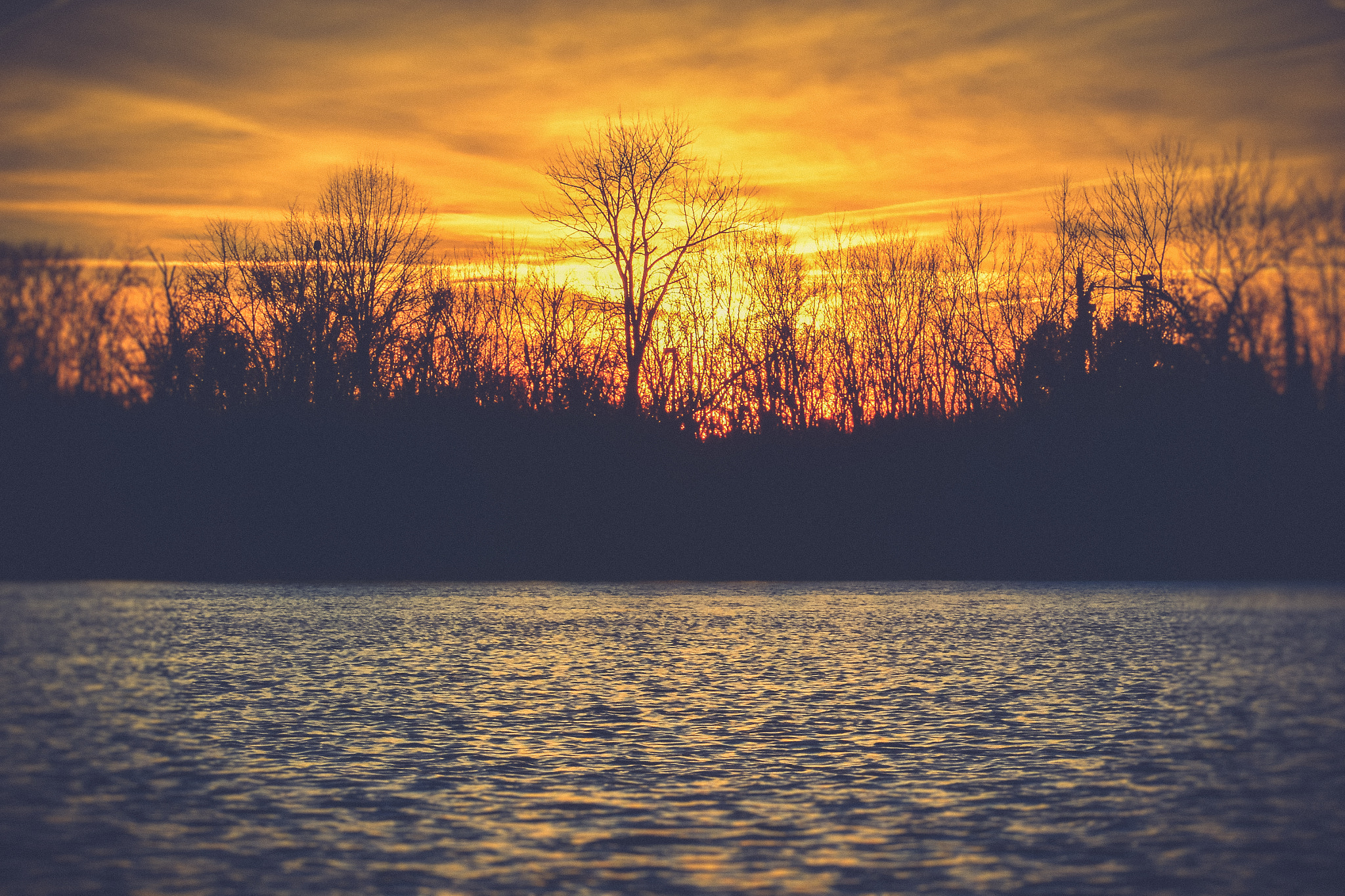 Nikon D7200 sample photo. Westward dreaming photography