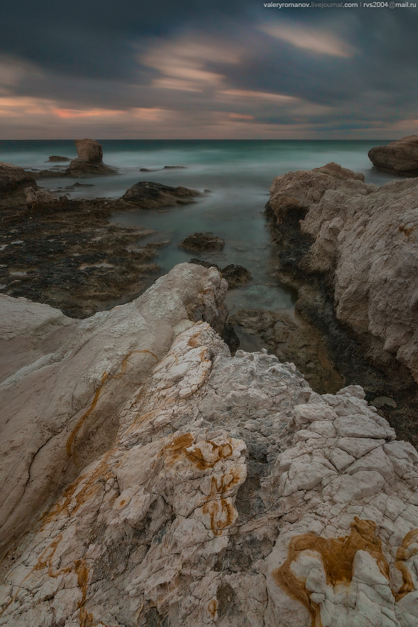 Sony a99 II sample photo. After morning rain photography