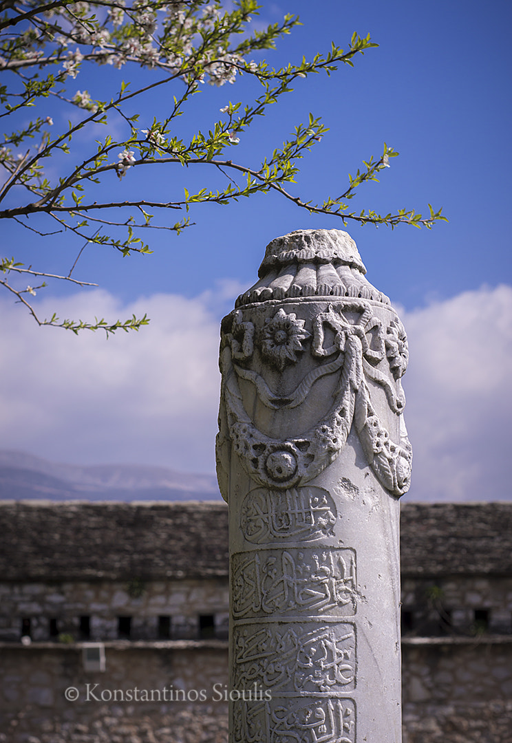 Nikon D3200 sample photo