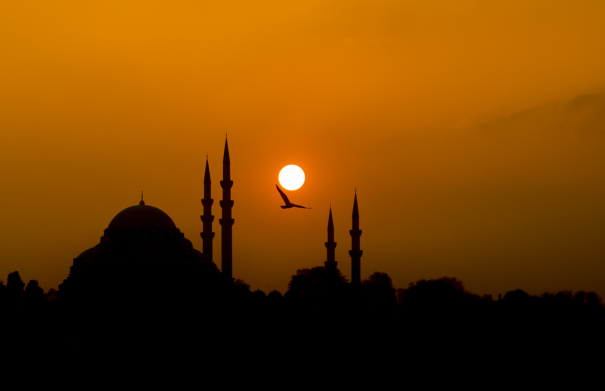 Sigma 17-70mm F2.8-4 DC Macro OS HSM sample photo. Süleymaniye mosque photography