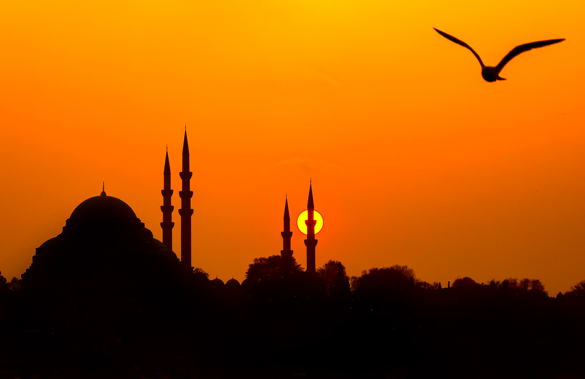 Sigma 17-70mm F2.8-4 DC Macro OS HSM sample photo. Süleymaniye mosque photography
