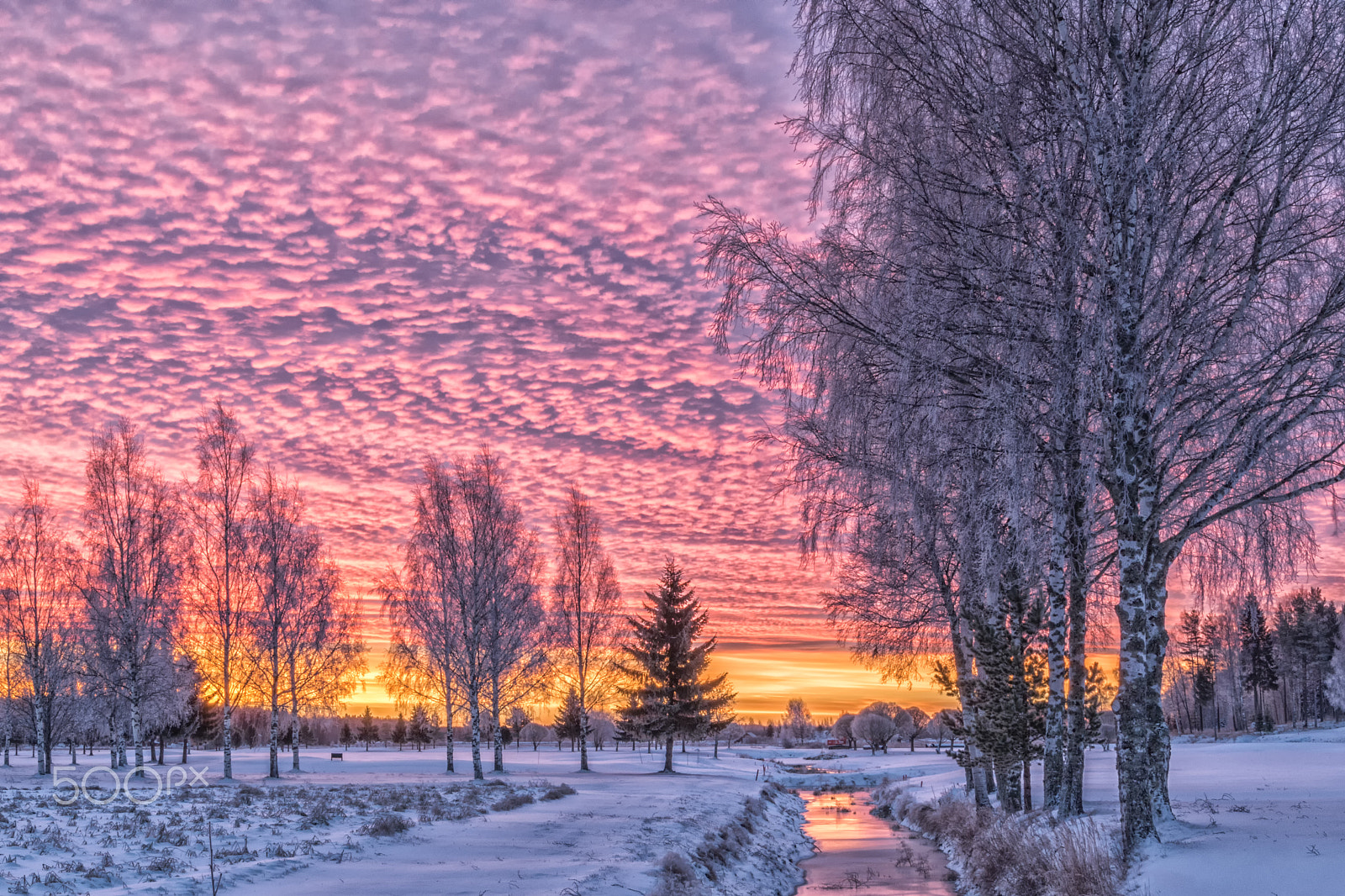 Nikon D5500 sample photo. Beautiful sky photography