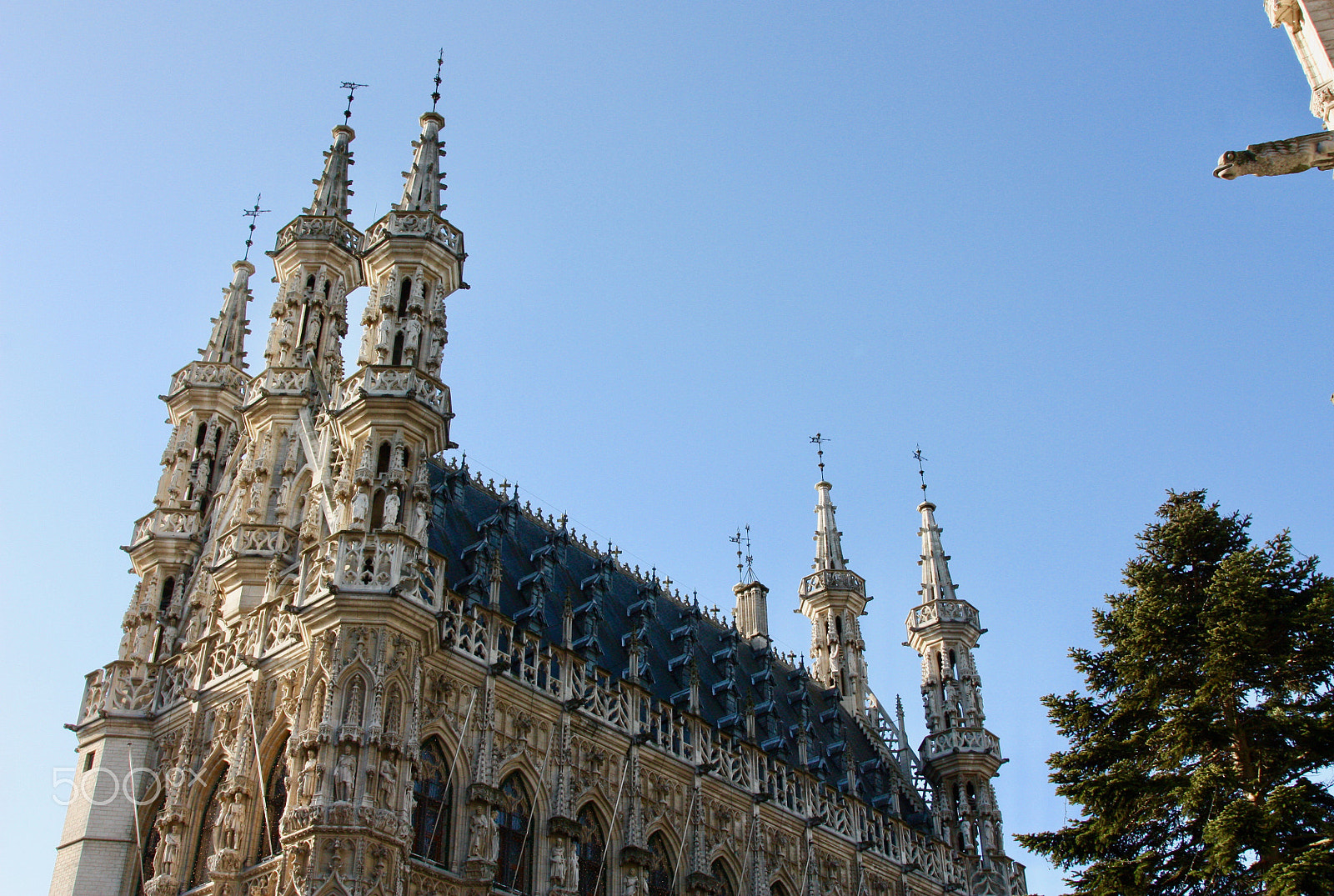 Canon EOS 450D (EOS Rebel XSi / EOS Kiss X2) sample photo. Stadhuis van leuven photography