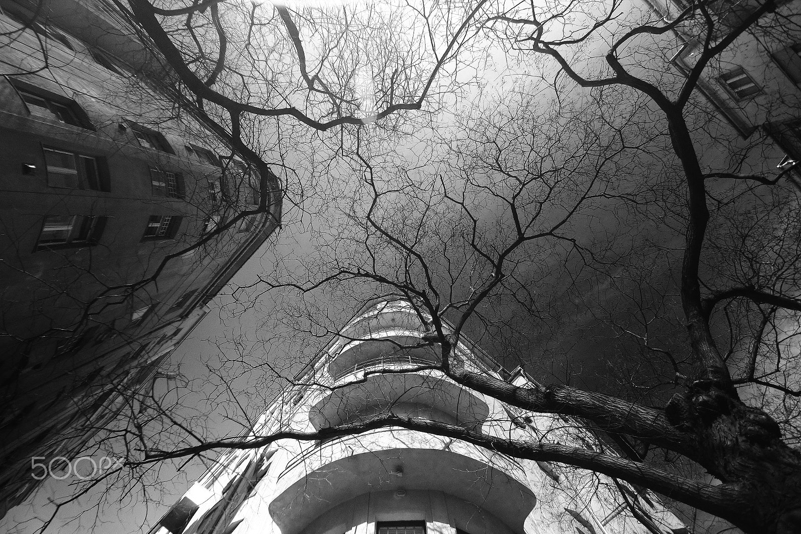 Sigma 10-20mm F3.5 EX DC HSM sample photo. Img photography