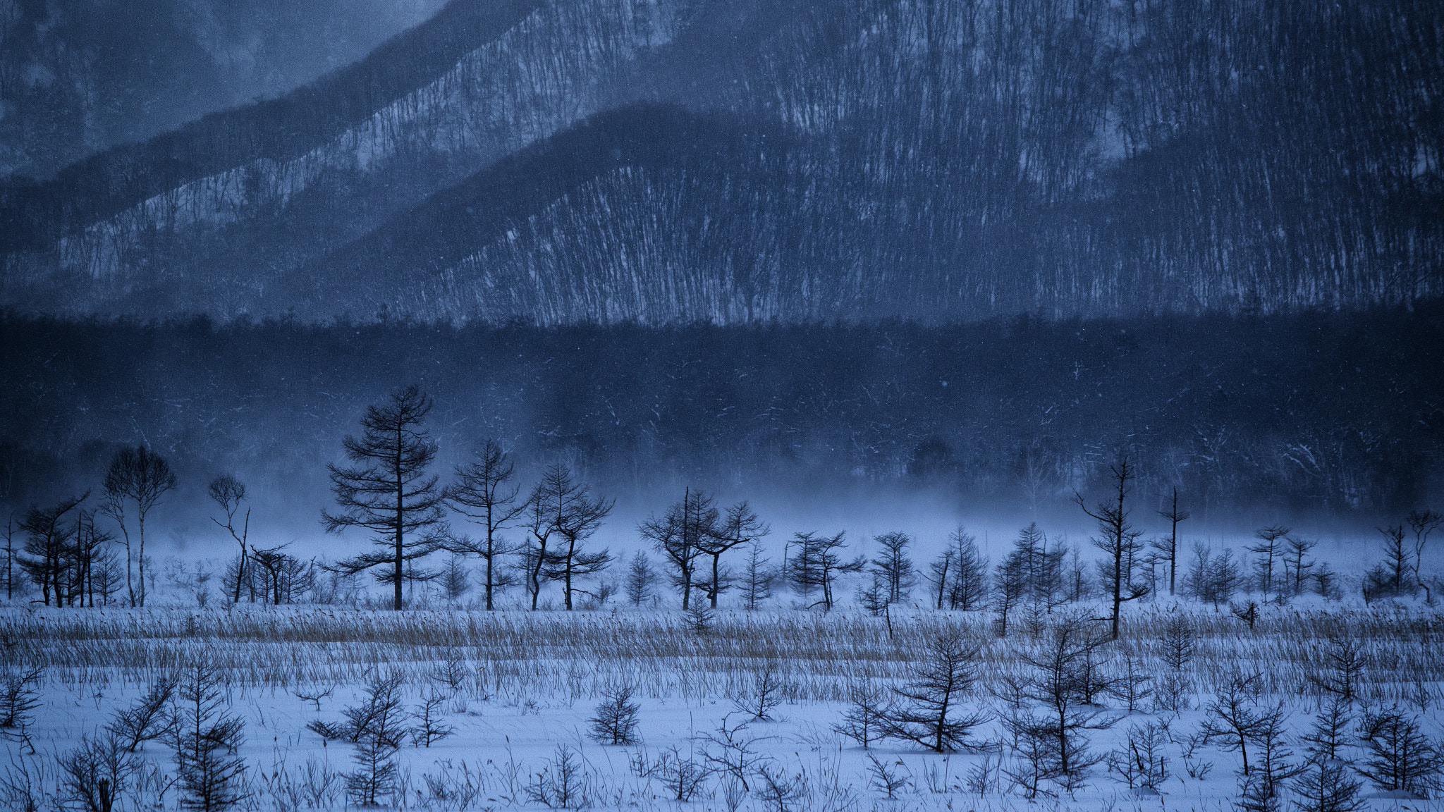 Canon EF-S 55-250mm F4-5.6 IS II sample photo. Suiboku photography