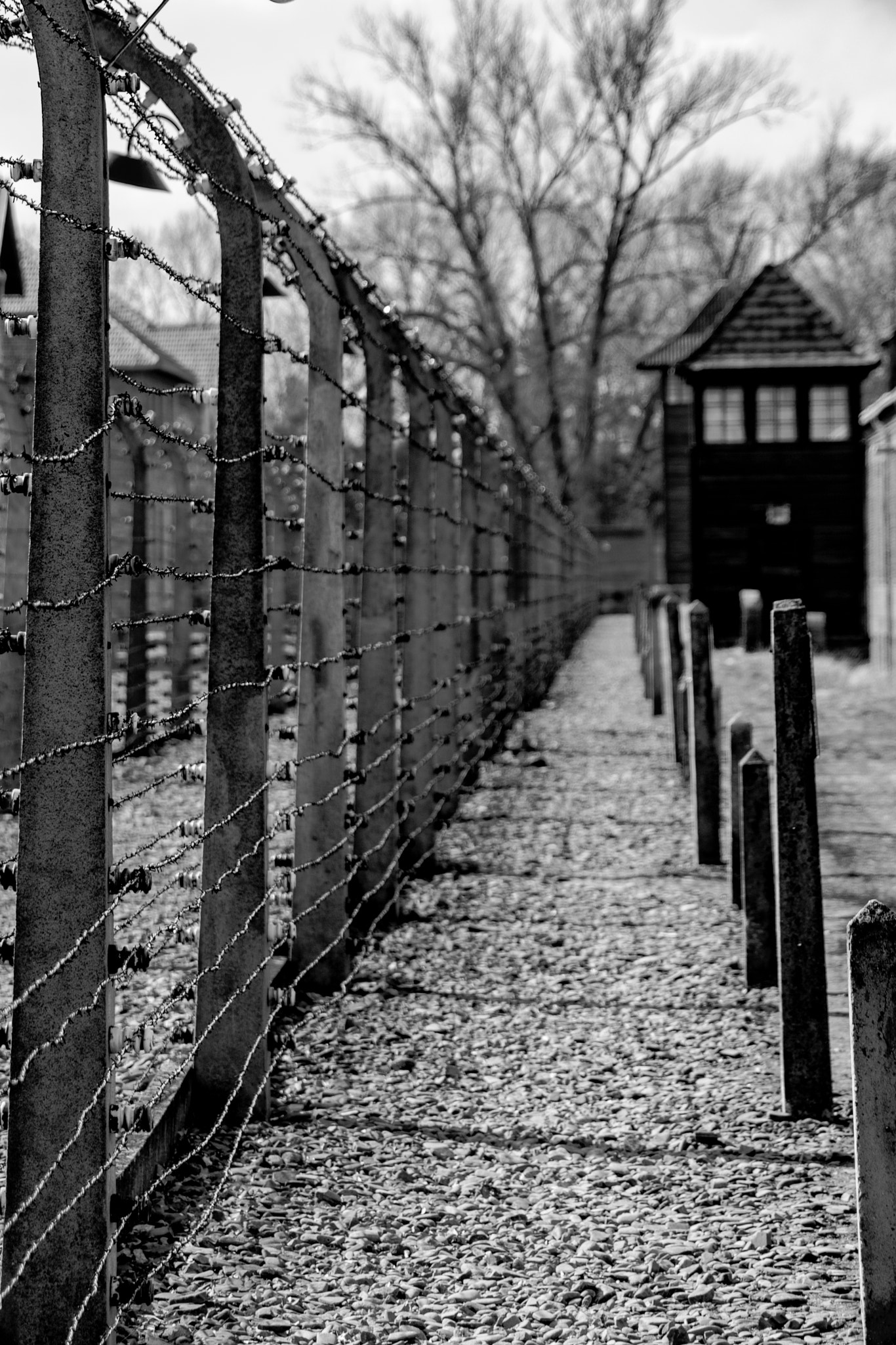 Sigma 24-70mm F2.8 EX DG HSM sample photo. The fence photography