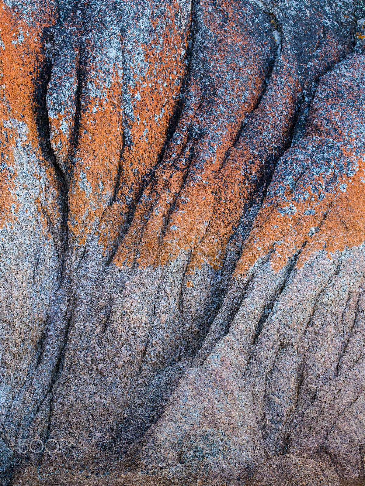 Sigma 105mm F2.8 EX DG OS HSM sample photo. Stone folds photography