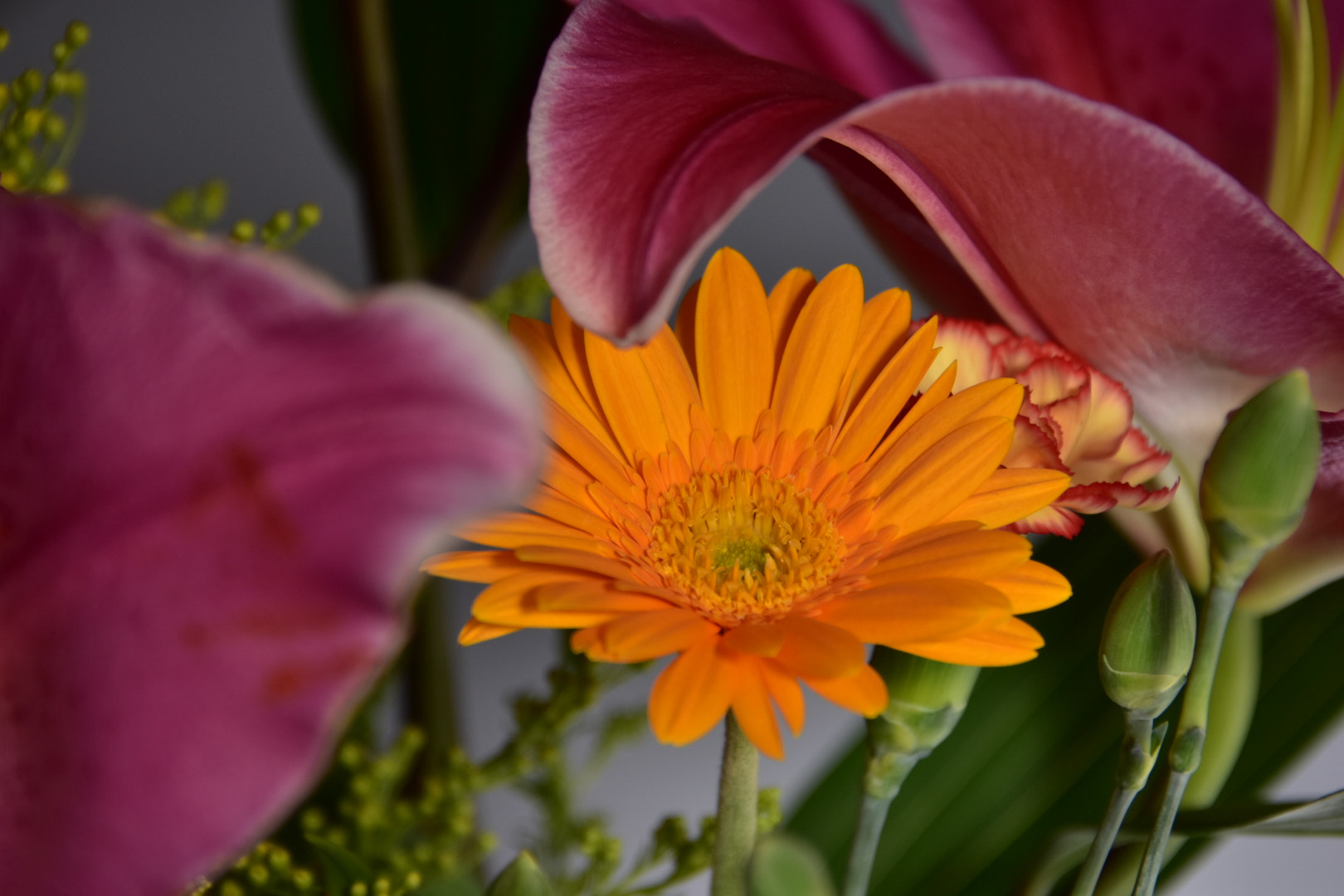 Nikon D7200 sample photo