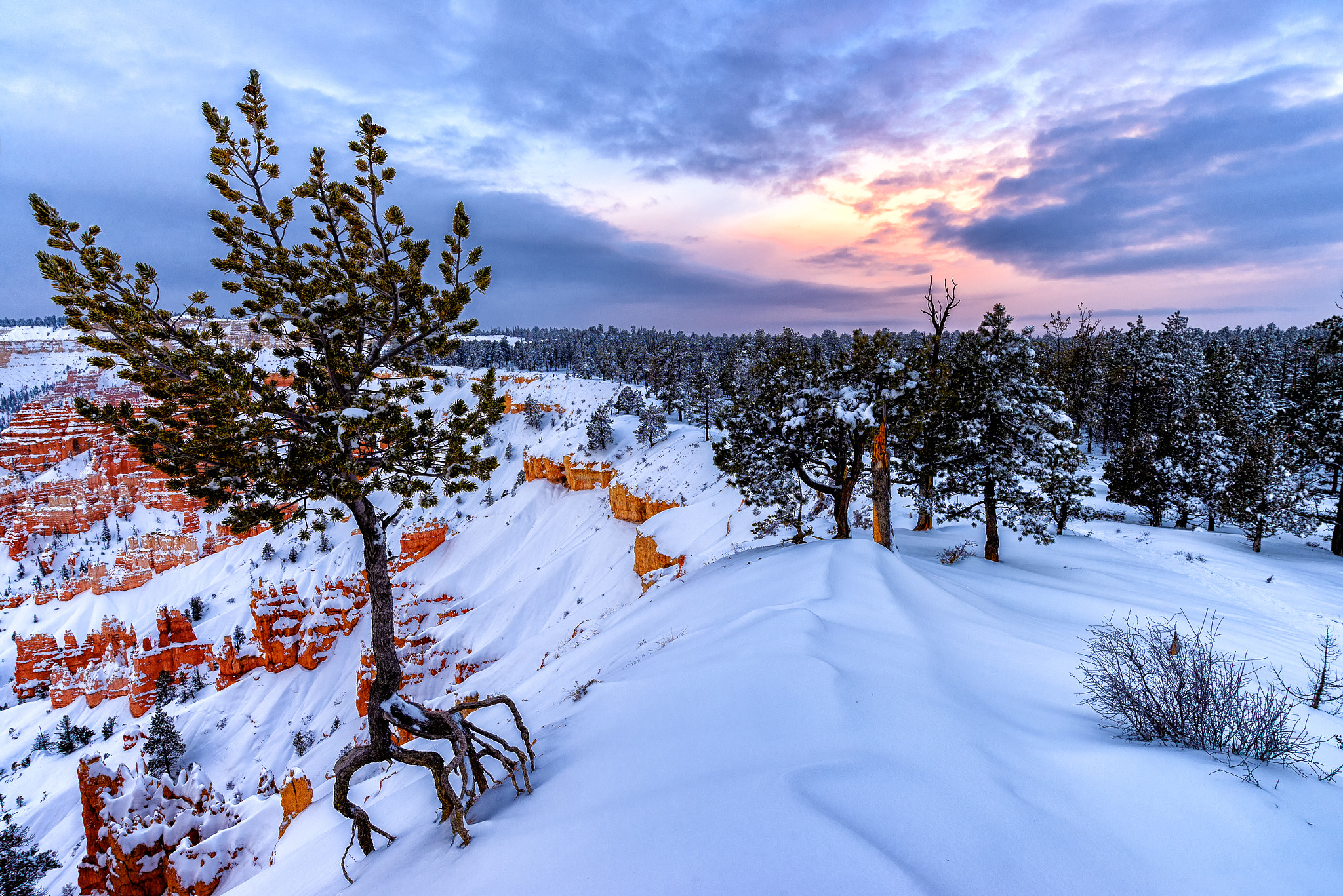 Nikon D600 + Nikon AF-S Nikkor 18-35mm F3.5-4.5G ED sample photo. Living on the edge photography