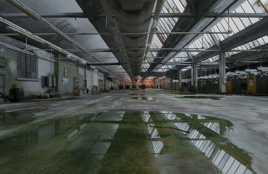 Sigma 10-20mm F4-5.6 EX DC HSM sample photo. The early bird catches the worm photography