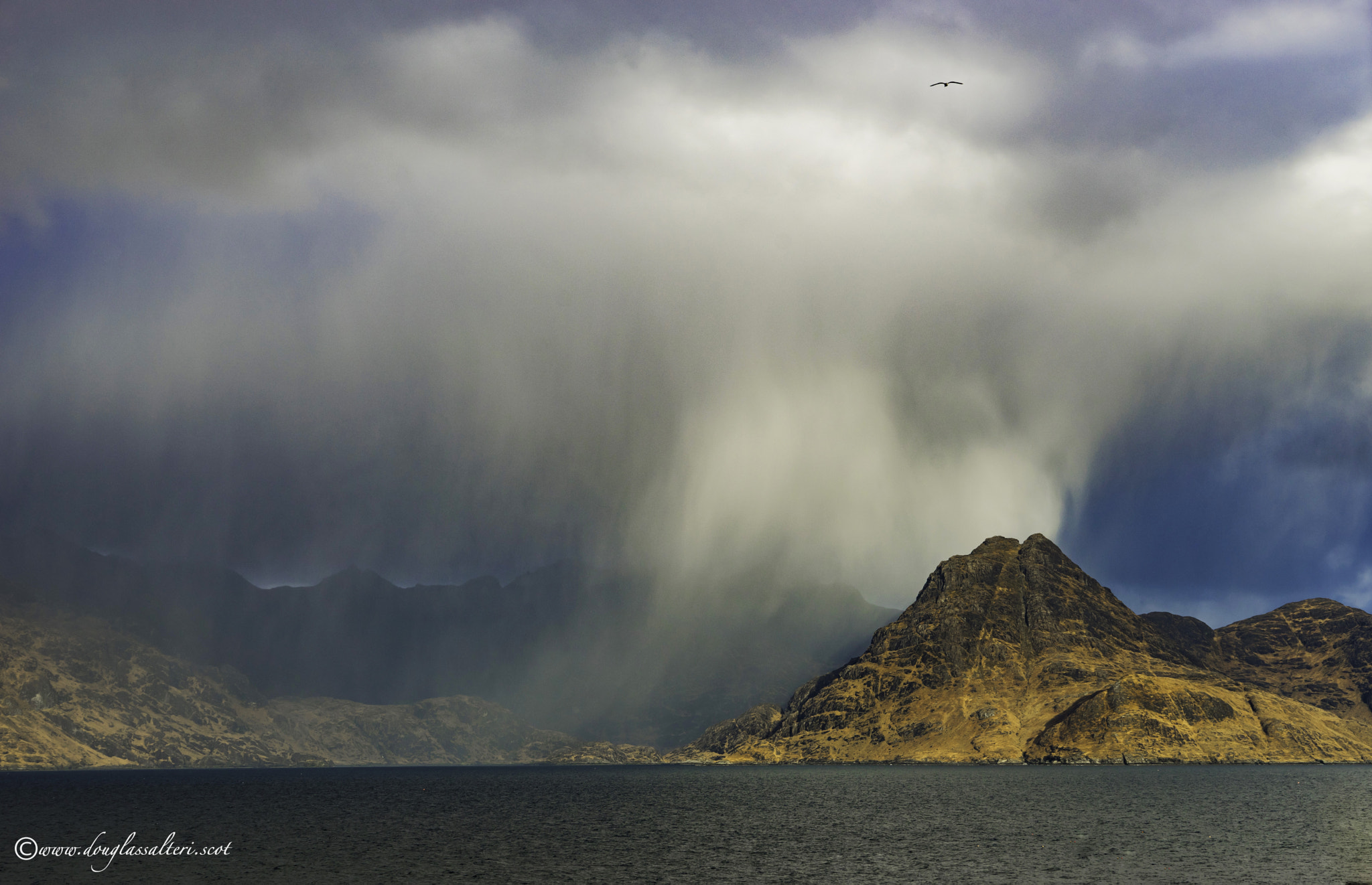 Sony a7 + Sony Vario Tessar T* FE 24-70mm F4 ZA OSS sample photo. Soaring high... photography