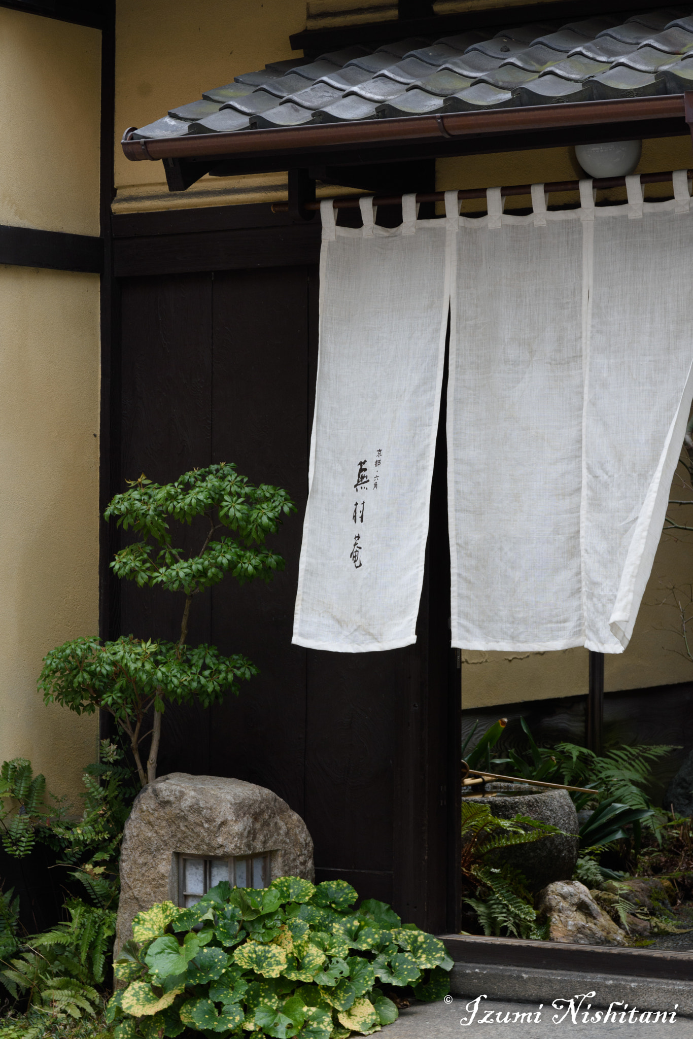 Sigma 17-70mm F2.8-4 DC Macro OS HSM | C sample photo. 20170319-49.jpg photography